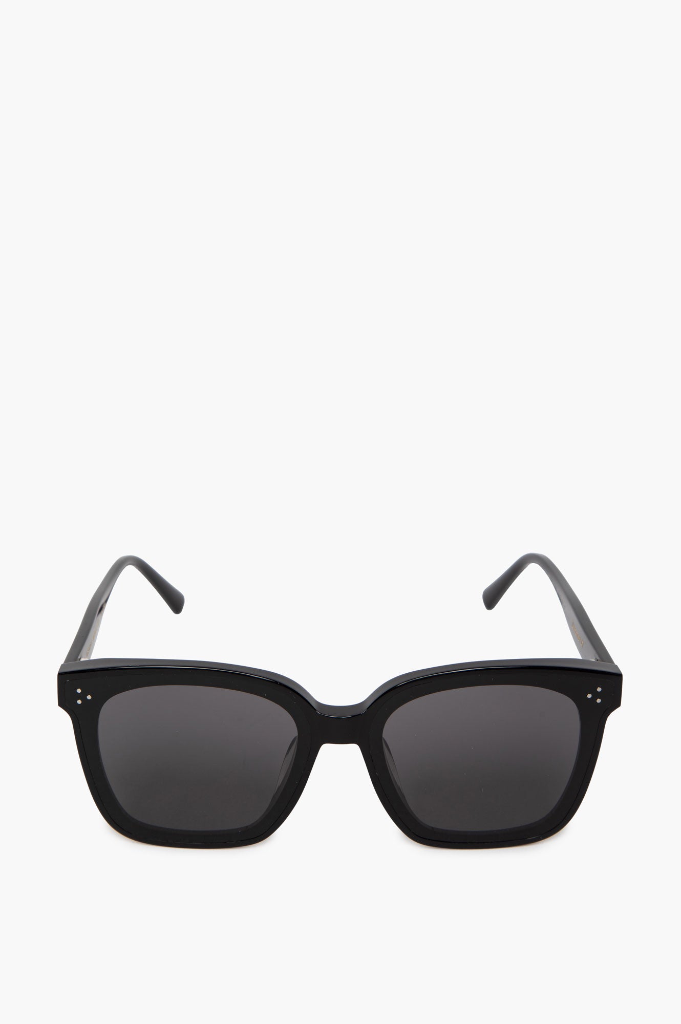 Gentle Monster Dreamer 17 01 Black Oversized Square Sunglasses