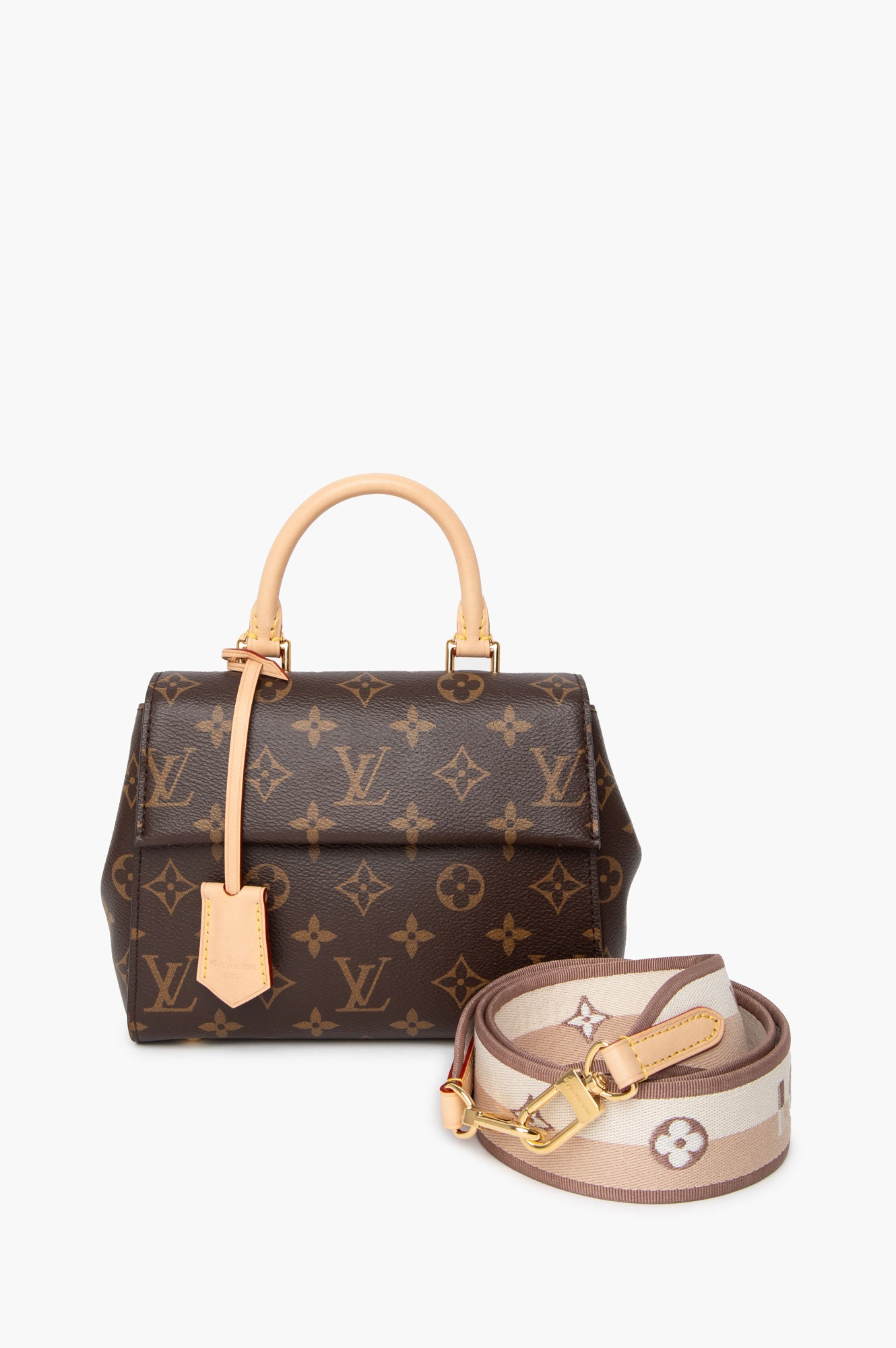 Louis Vuitton Monogram Cluny Mini