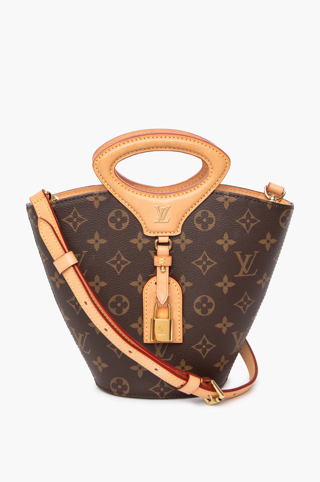 Louis Vuitton Monogram Rivage BB