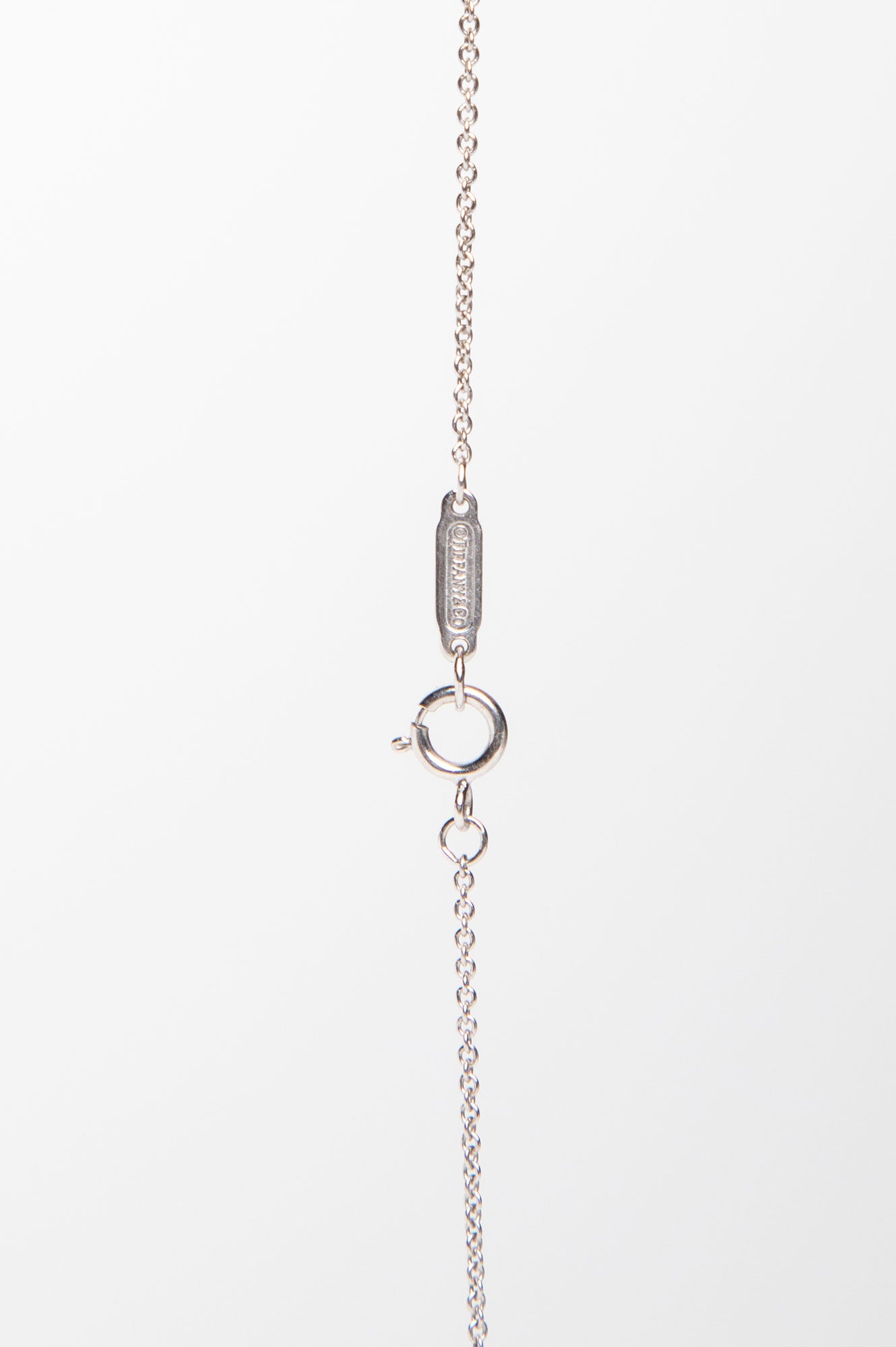 Tiffany & Co. 18k White Gold Diamond Daisy Pendant Necklace