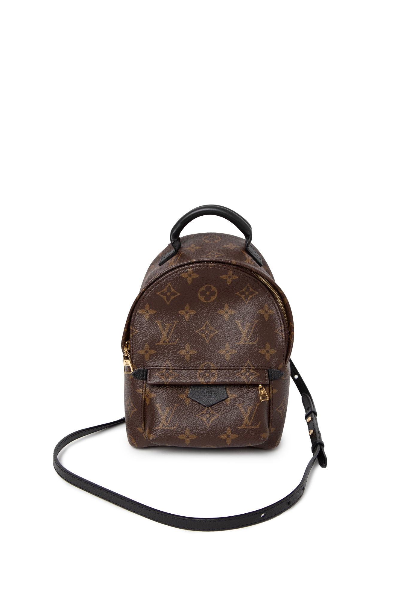 Louis Vuitton Brown Monogram Palm Spring Backpack