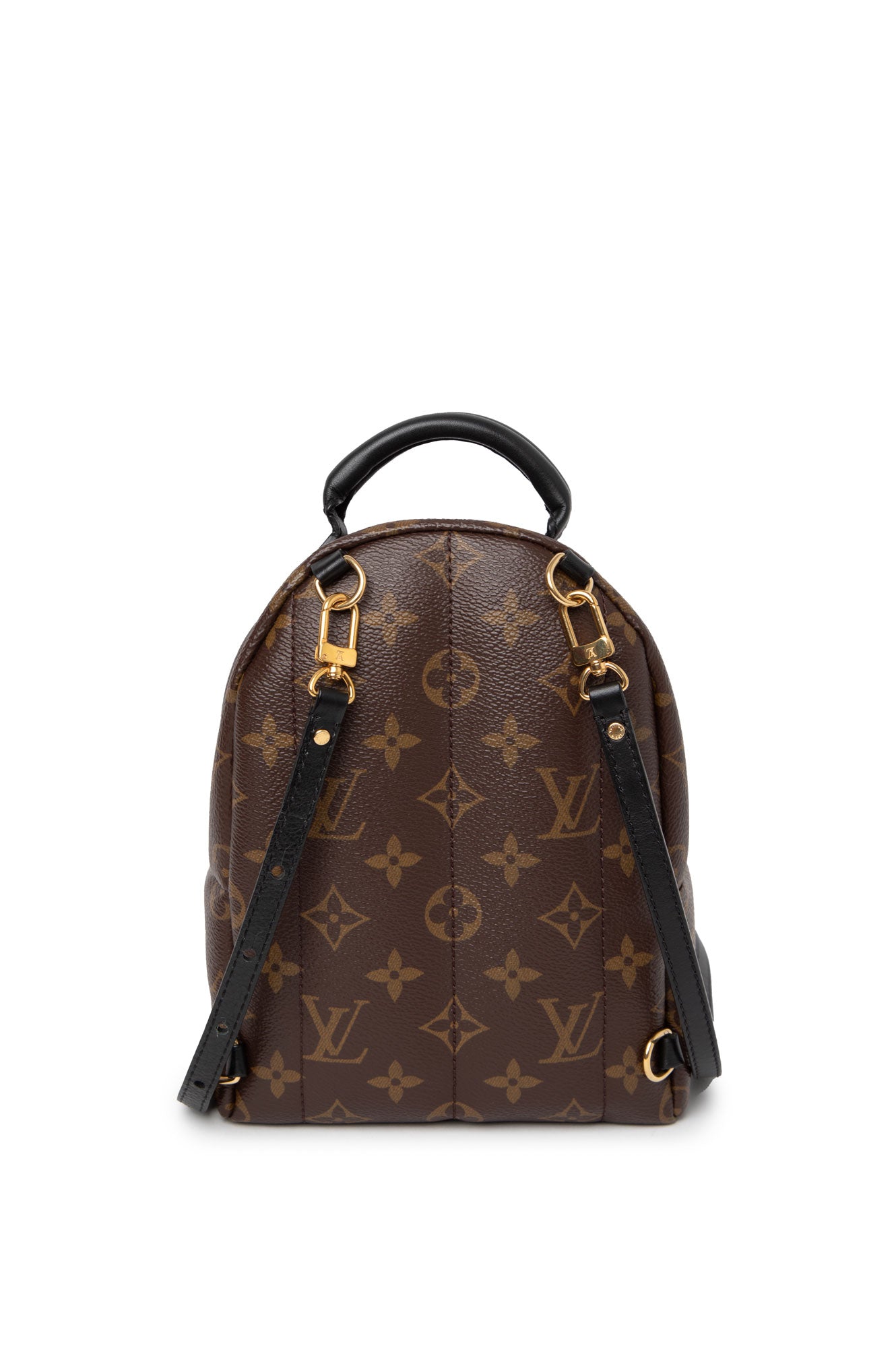 Louis Vuitton Brown Monogram Palm Spring Backpack