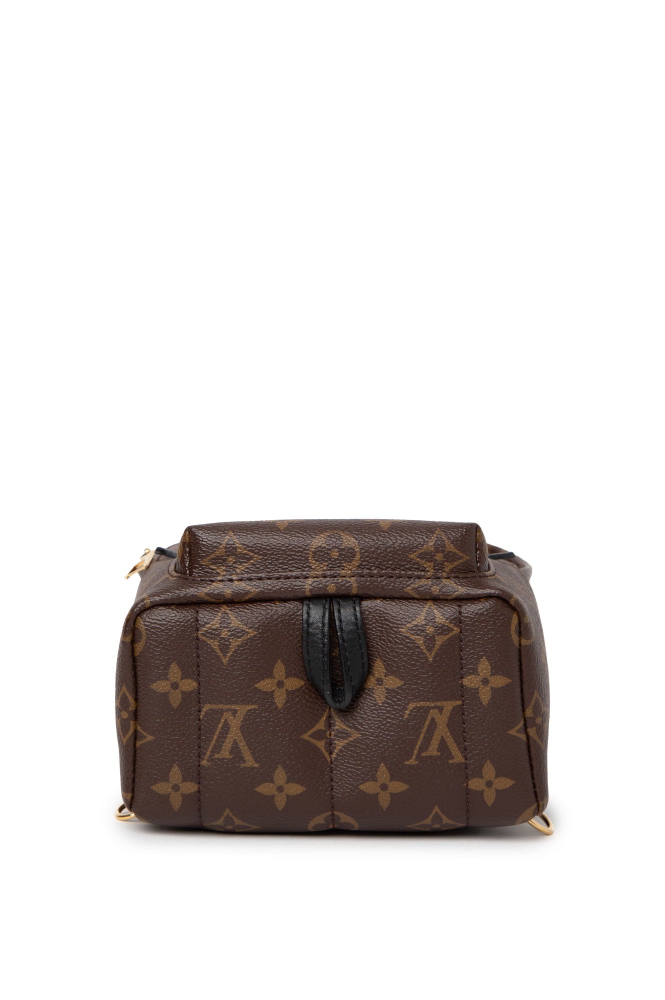 Louis Vuitton Brown Monogram Palm Spring Backpack