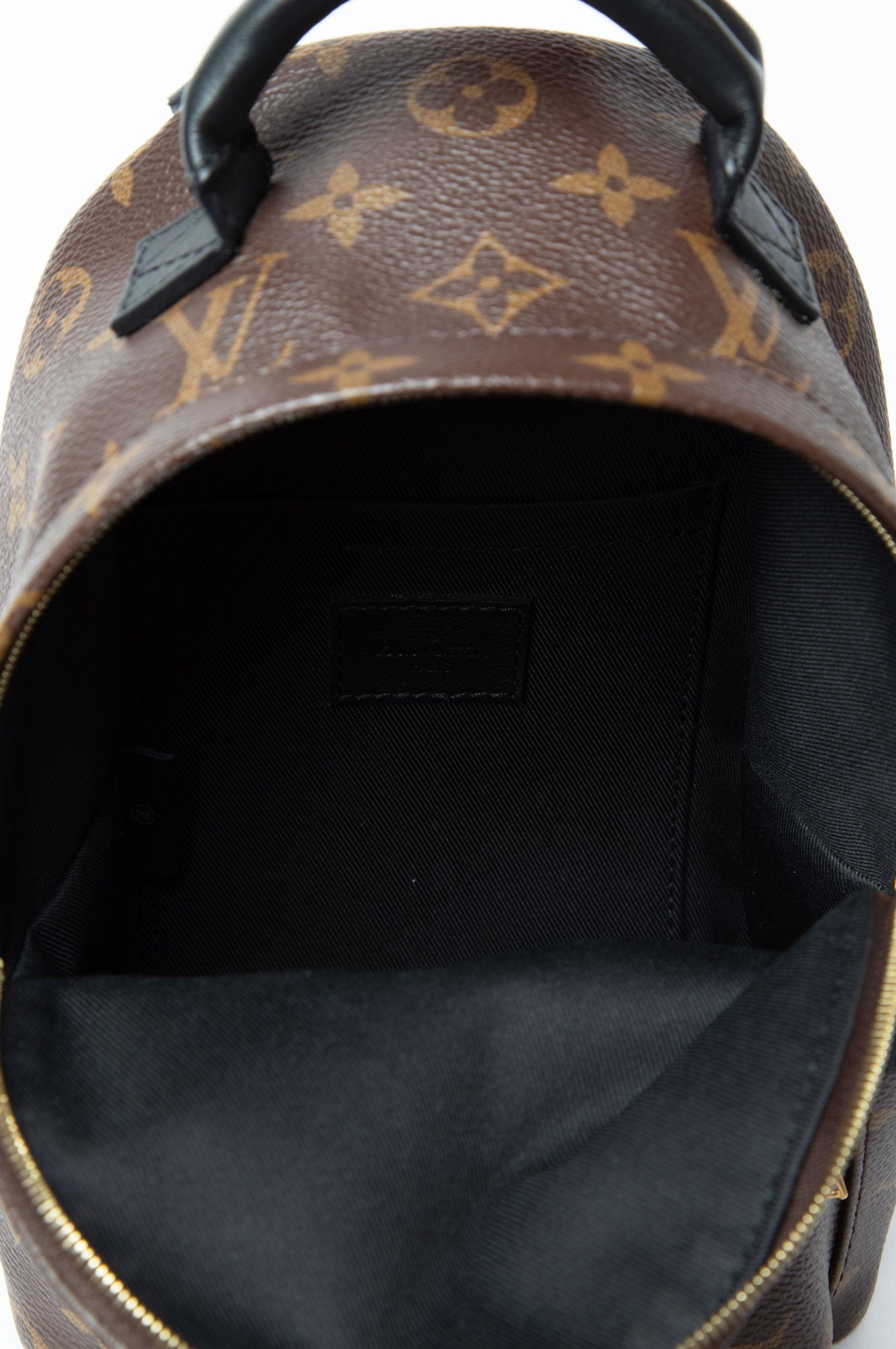 Louis Vuitton Brown Monogram Palm Spring Backpack