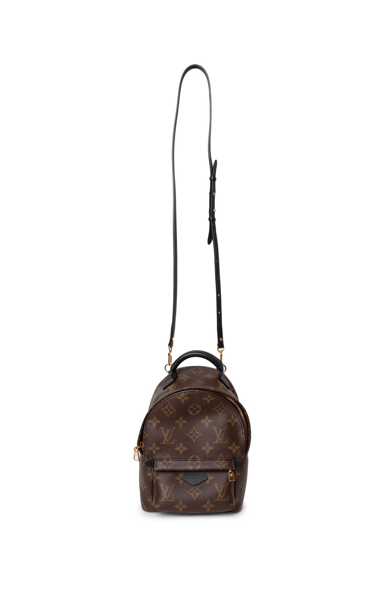 Louis Vuitton Brown Monogram Palm Spring Backpack