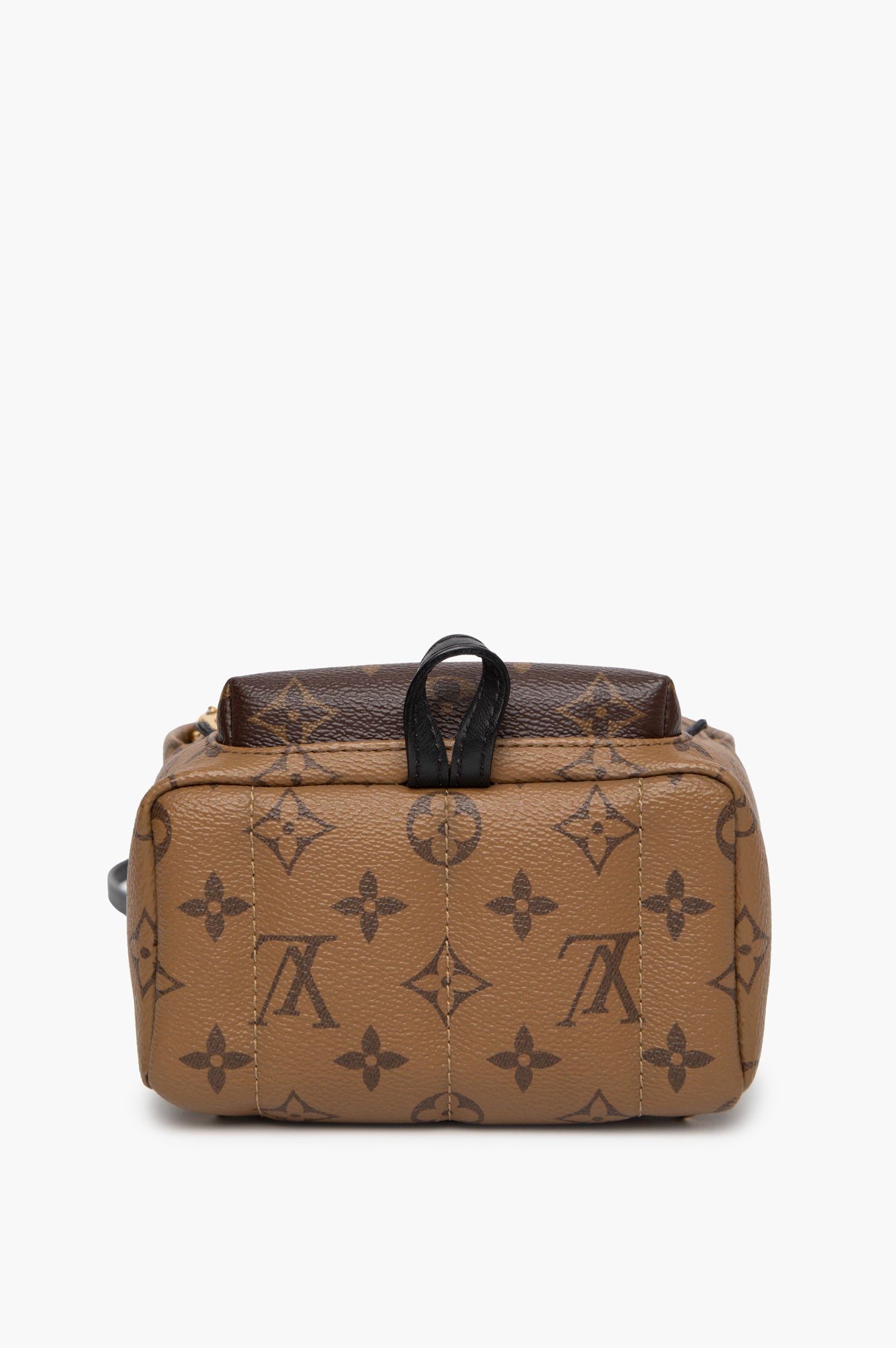 Louis Vuitton Mini Palm Springs
