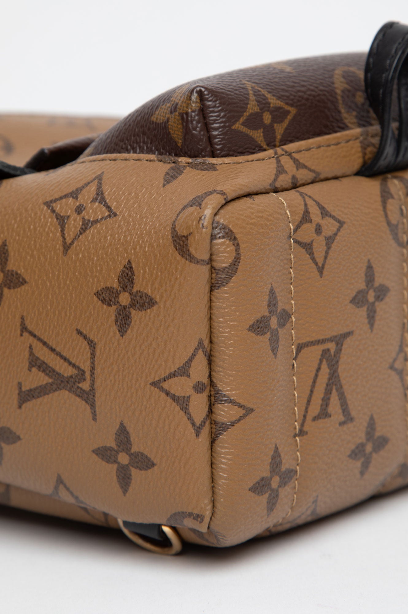 Louis Vuitton Mini Palm Springs