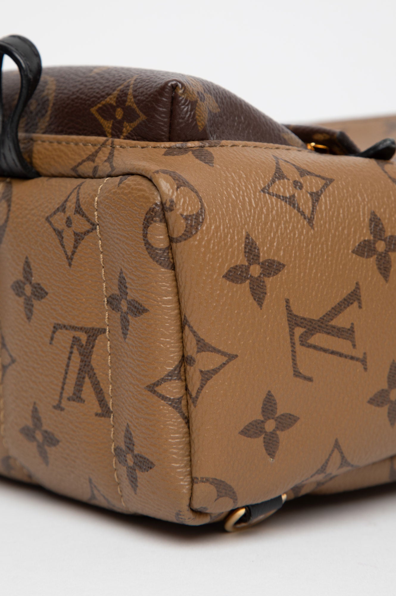 Louis Vuitton Mini Palm Springs
