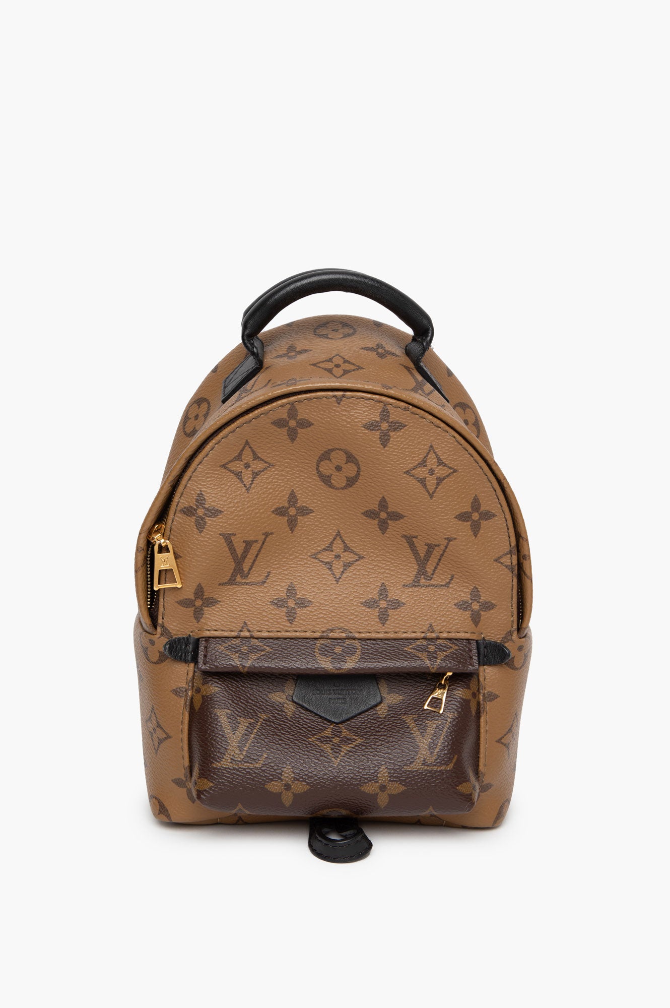 Louis Vuitton Mini Palm Springs
