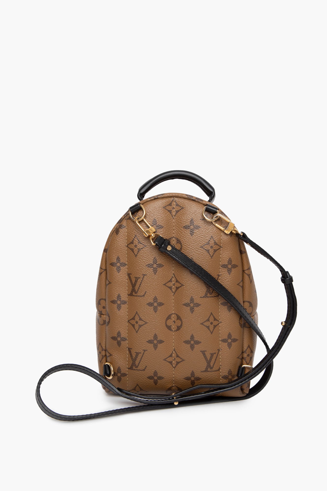 Louis Vuitton Mini Palm Springs