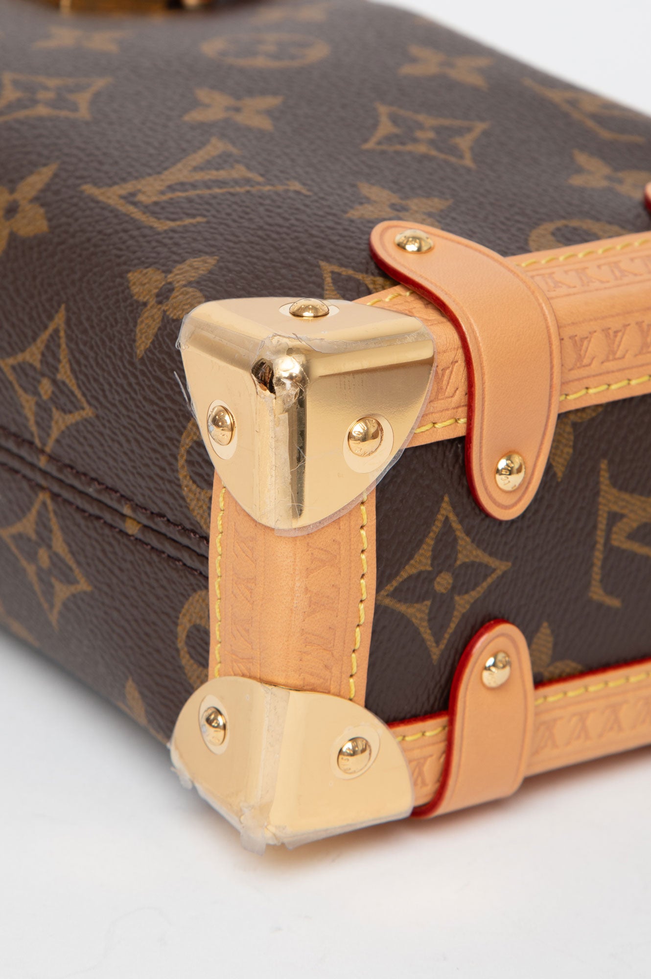 Louis Vuitton 2024 Side Trunk PM Bag