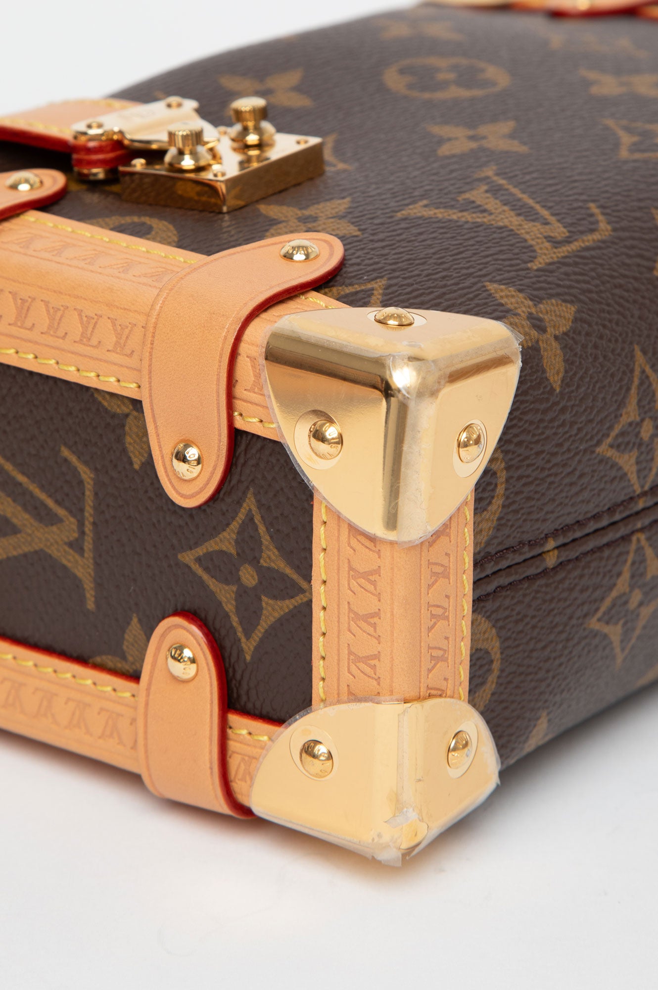 Louis Vuitton 2024 Side Trunk PM Bag