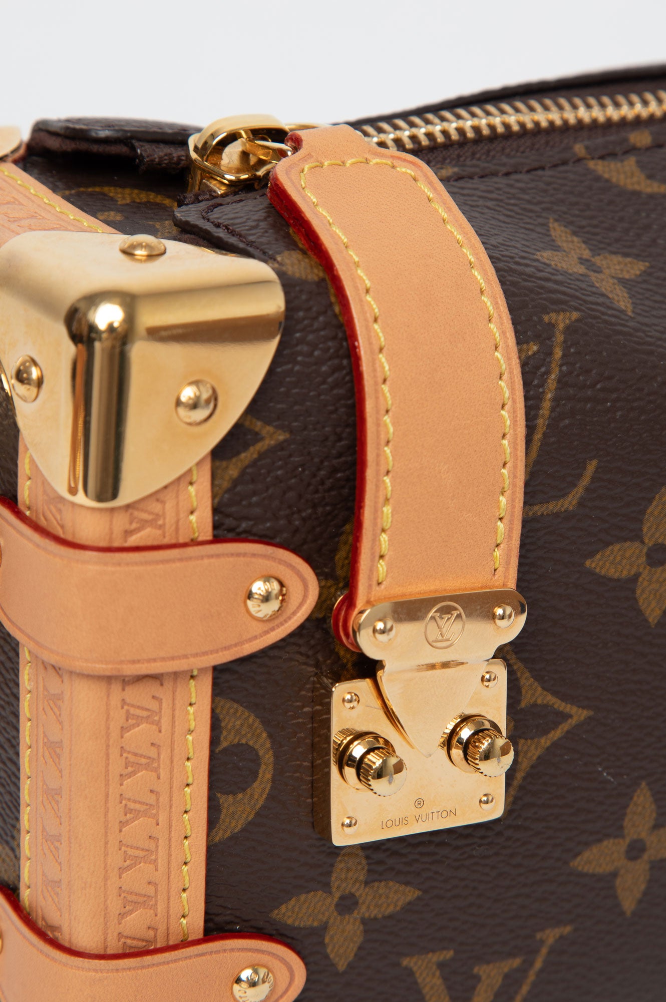 Louis Vuitton 2024 Side Trunk PM Bag