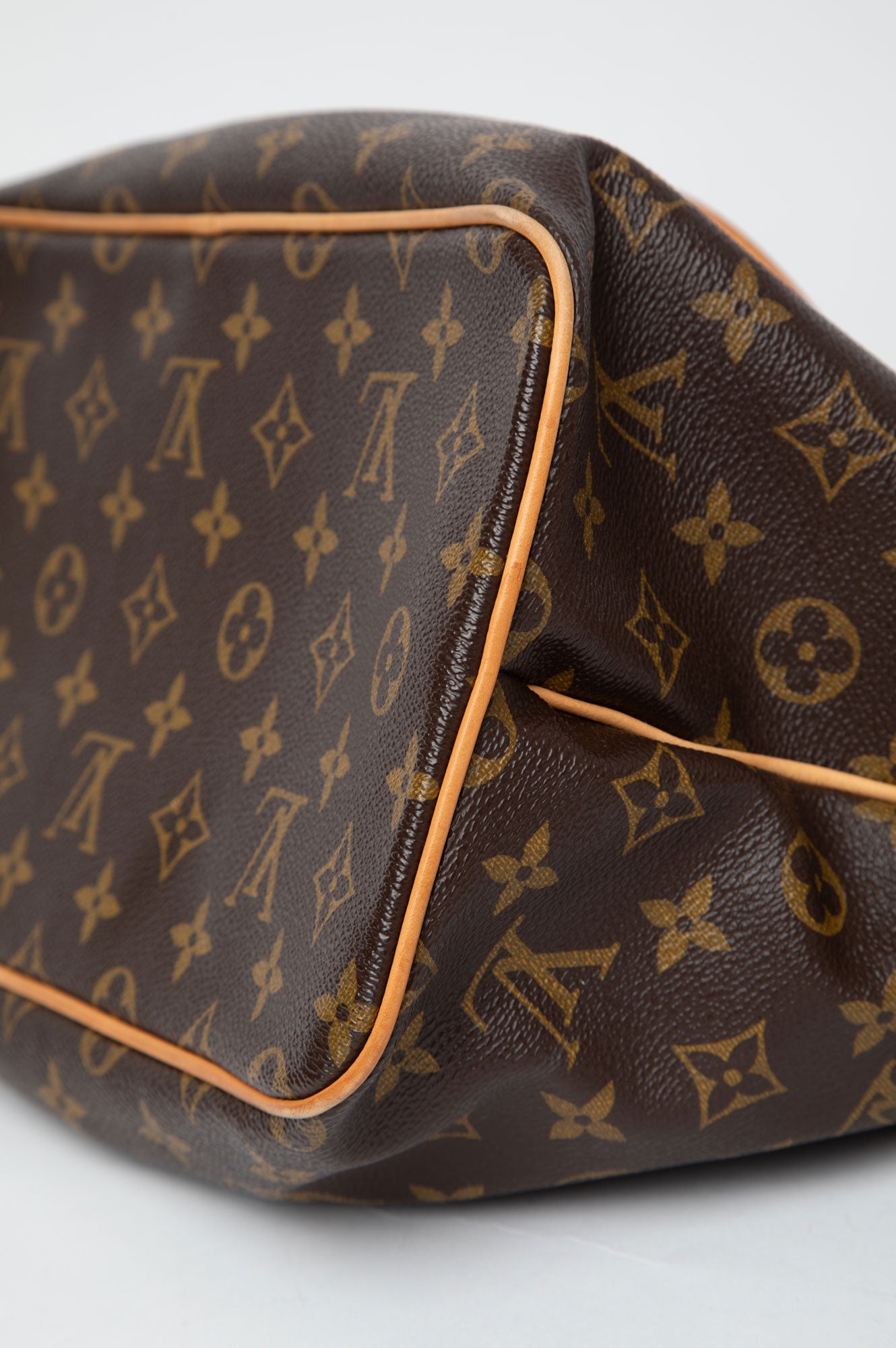Louis Vuitton Monogram Palermo Bag