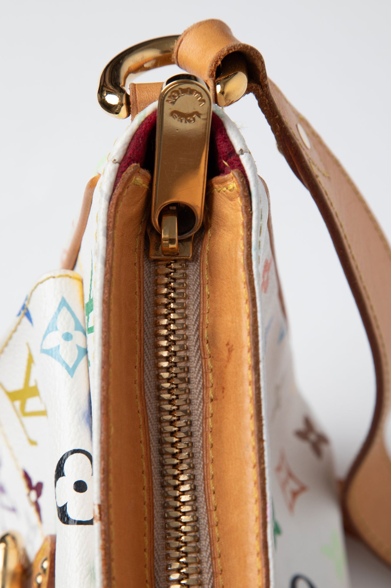 Louis Vuitton Multicolor Lodge GM Crossbody Bag