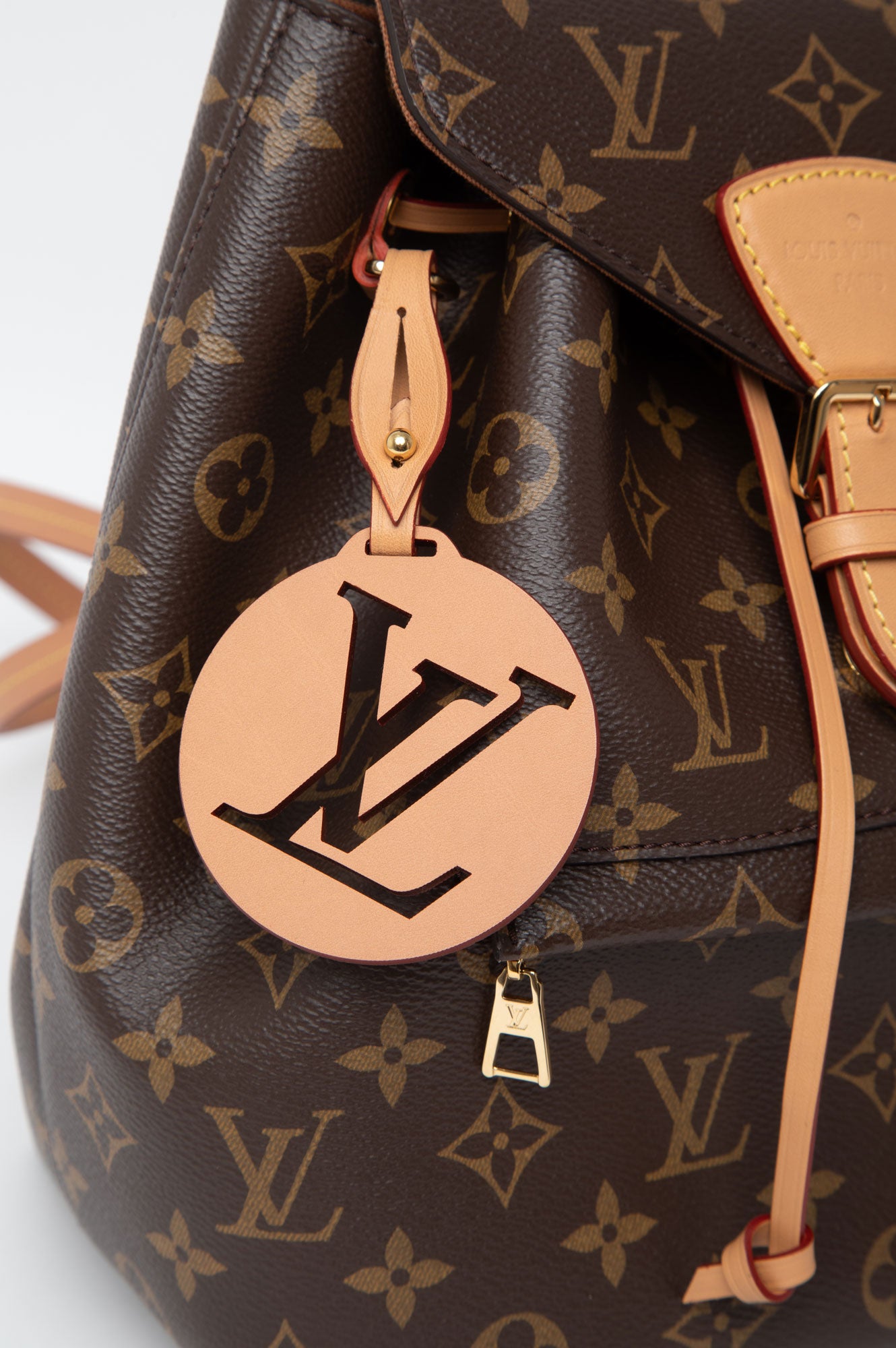 Louis Vuitton Monogram Montsouris PM Backpack
