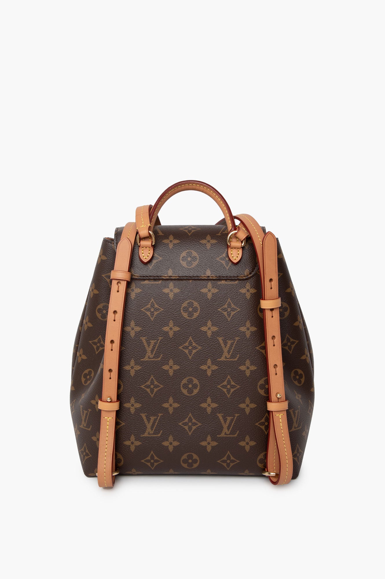 Louis Vuitton Monogram Montsouris PM Backpack