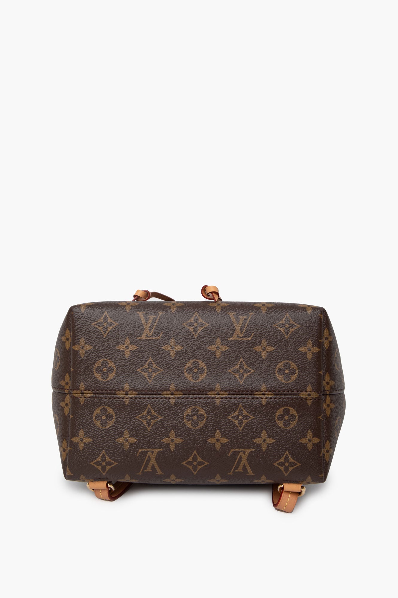 Louis Vuitton Monogram Montsouris PM Backpack
