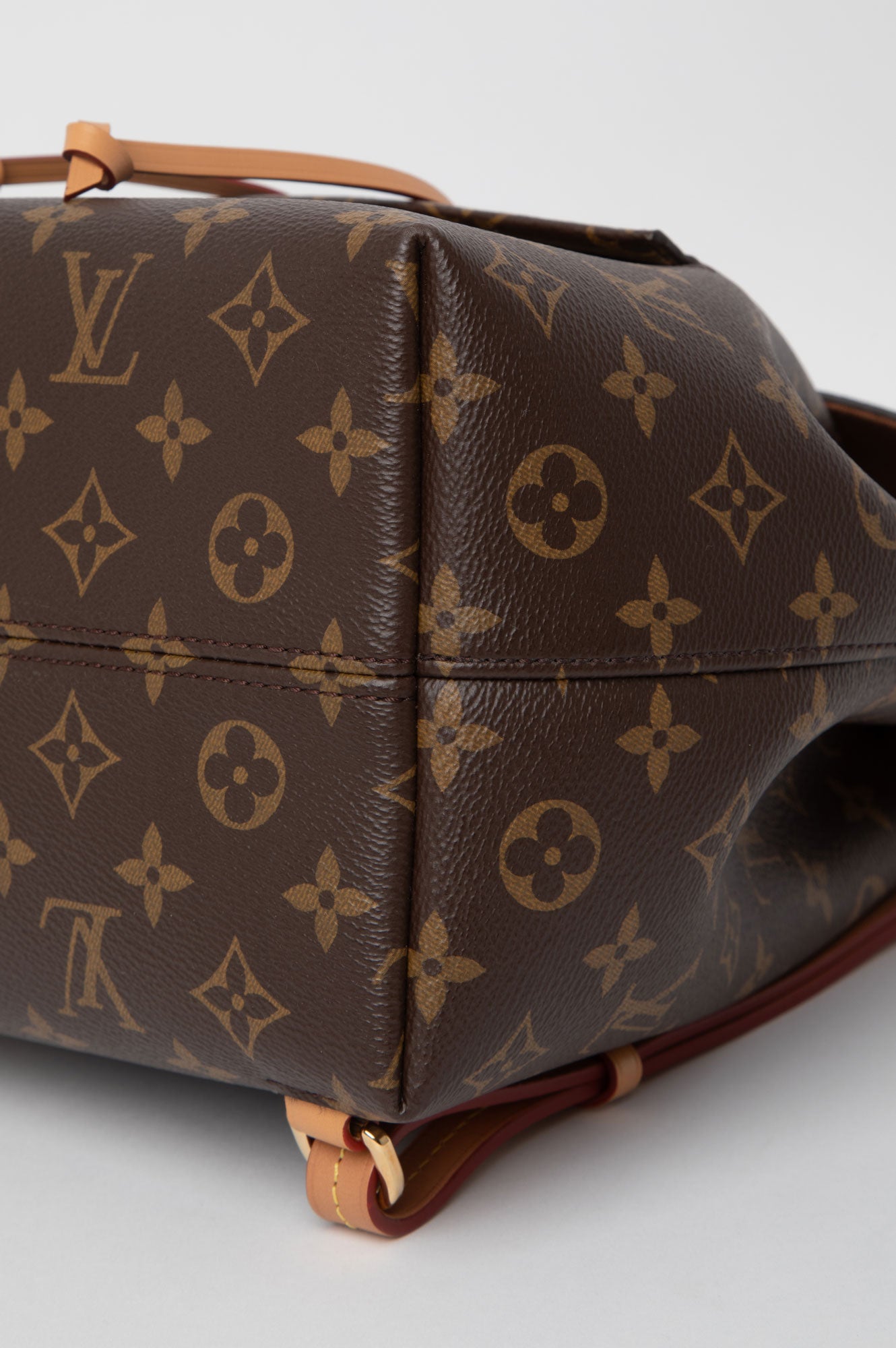 Louis Vuitton Monogram Montsouris PM Backpack