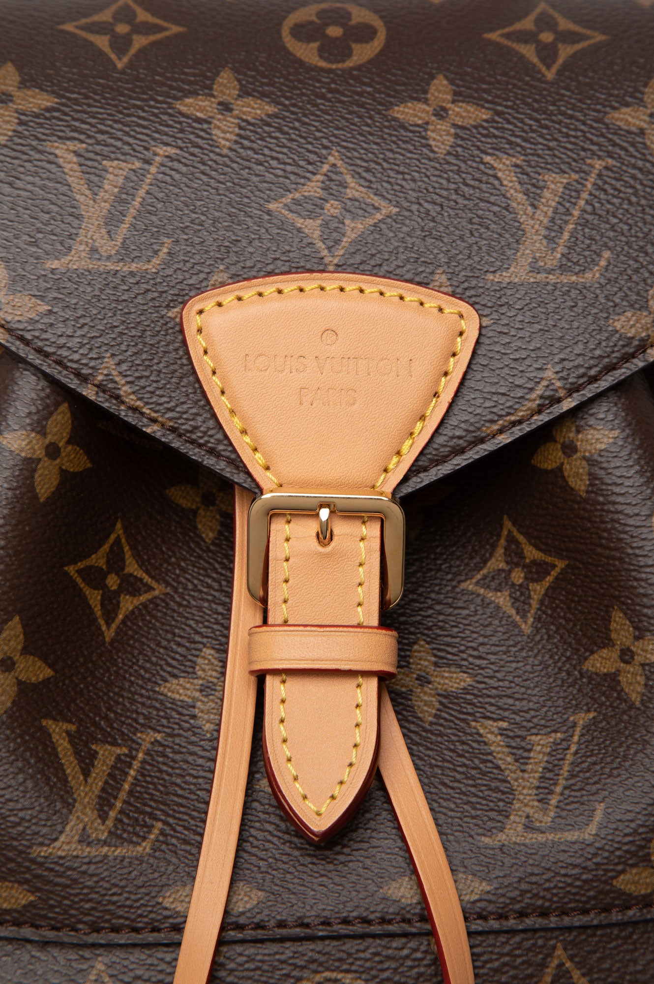 Louis Vuitton Monogram Montsouris PM Backpack