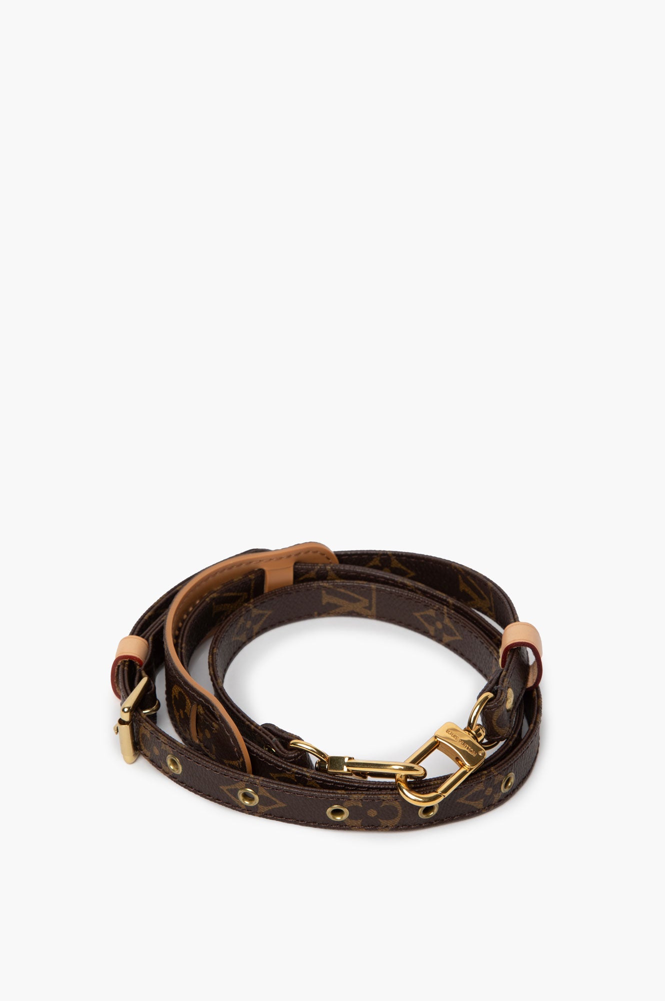 Louis Vuitton Monogram Bag Strap