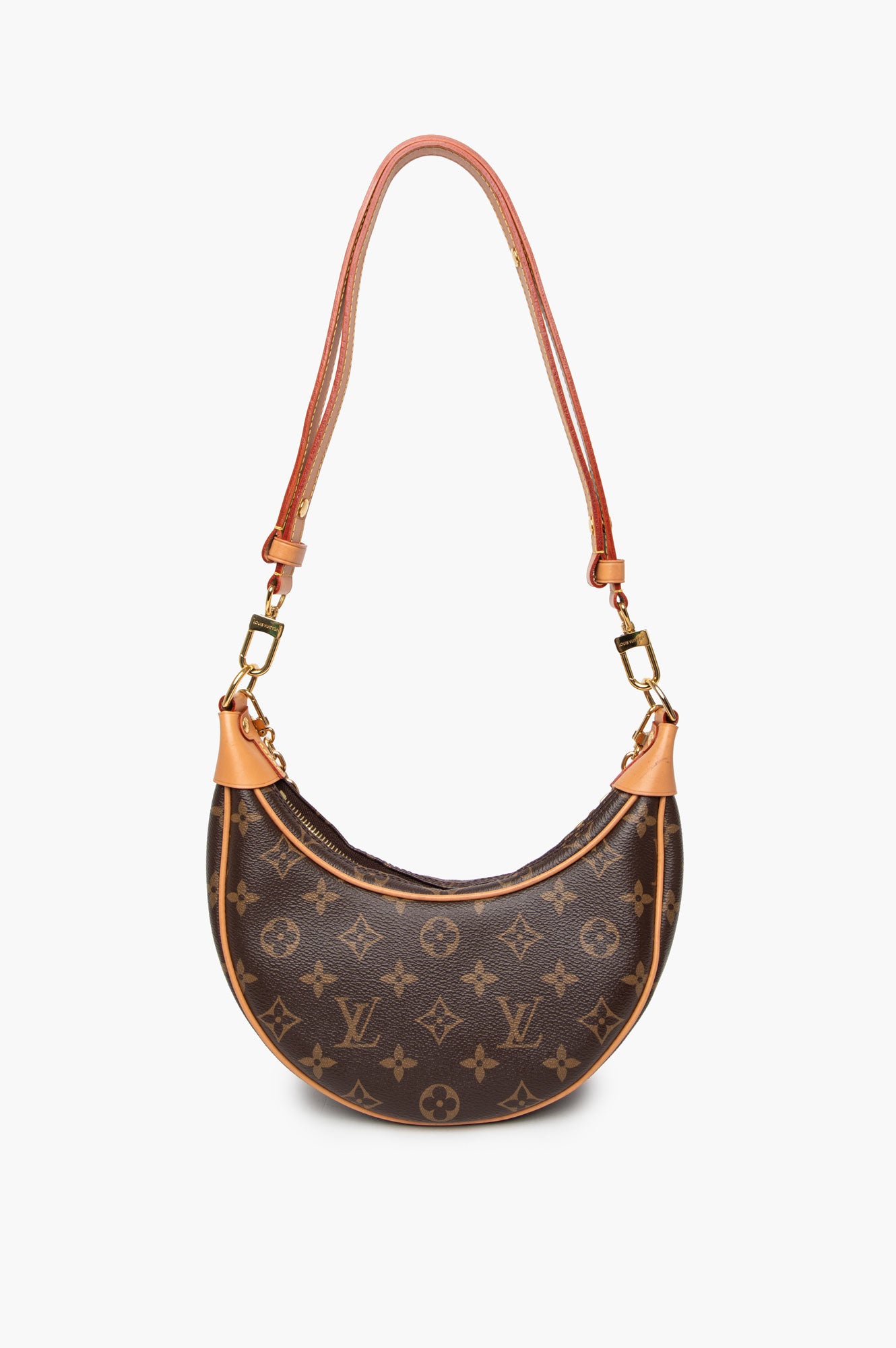 Louis Vuitton Monogram Loop Chain Bag