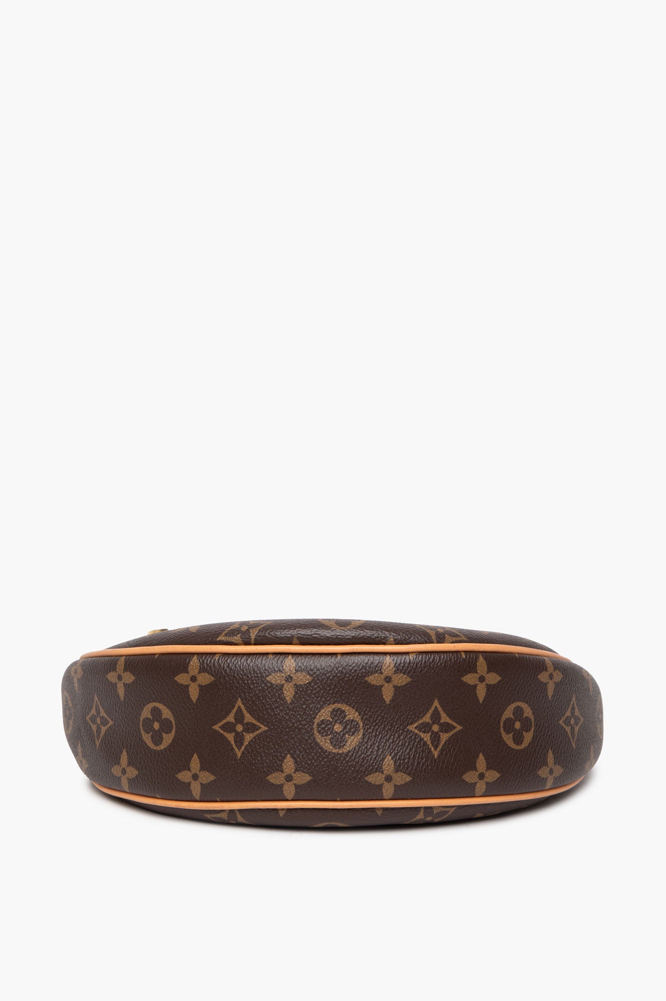 Louis Vuitton Monogram Loop Chain Bag