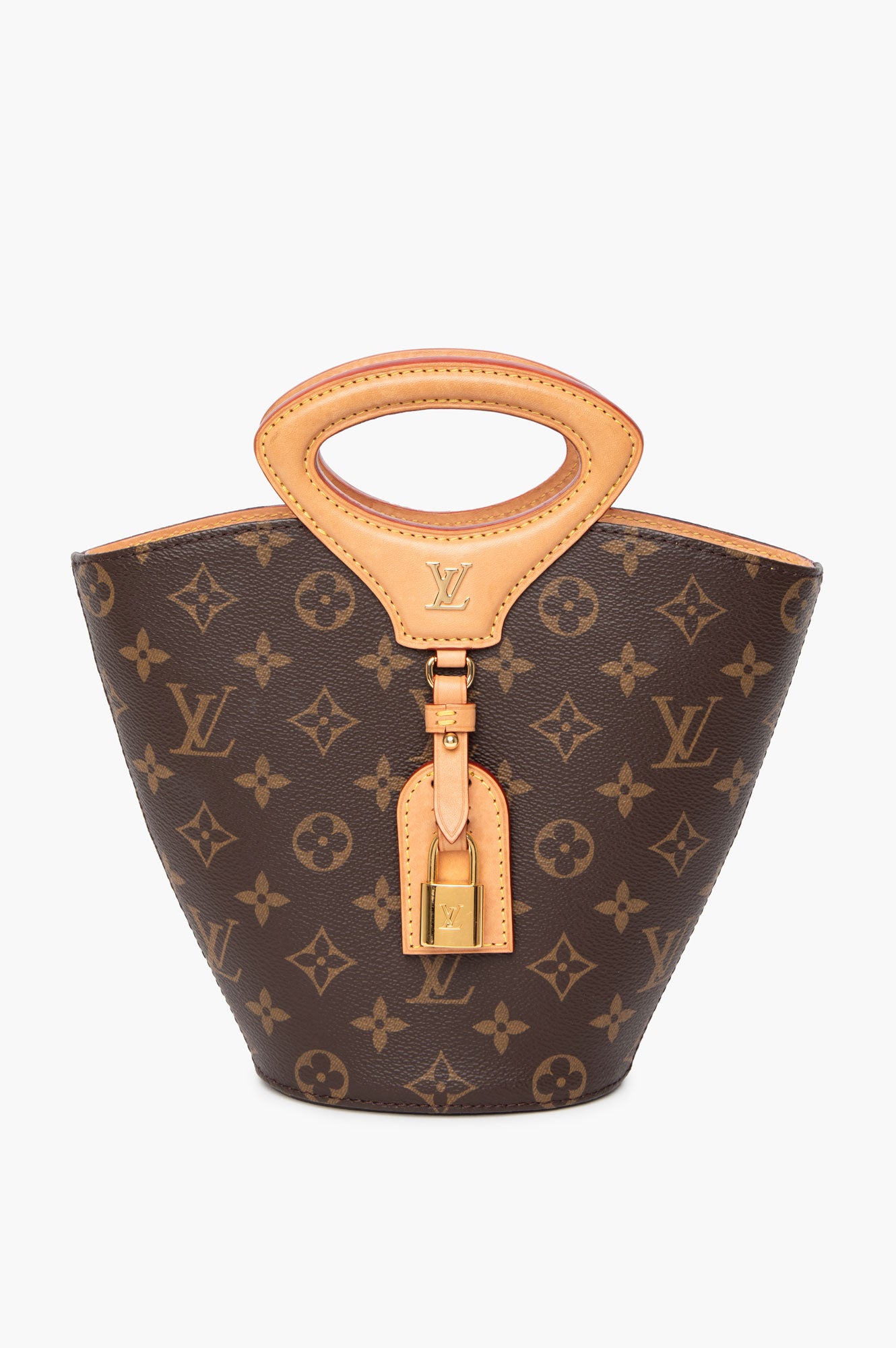 Louis Vuitton Monogram Rivage BB