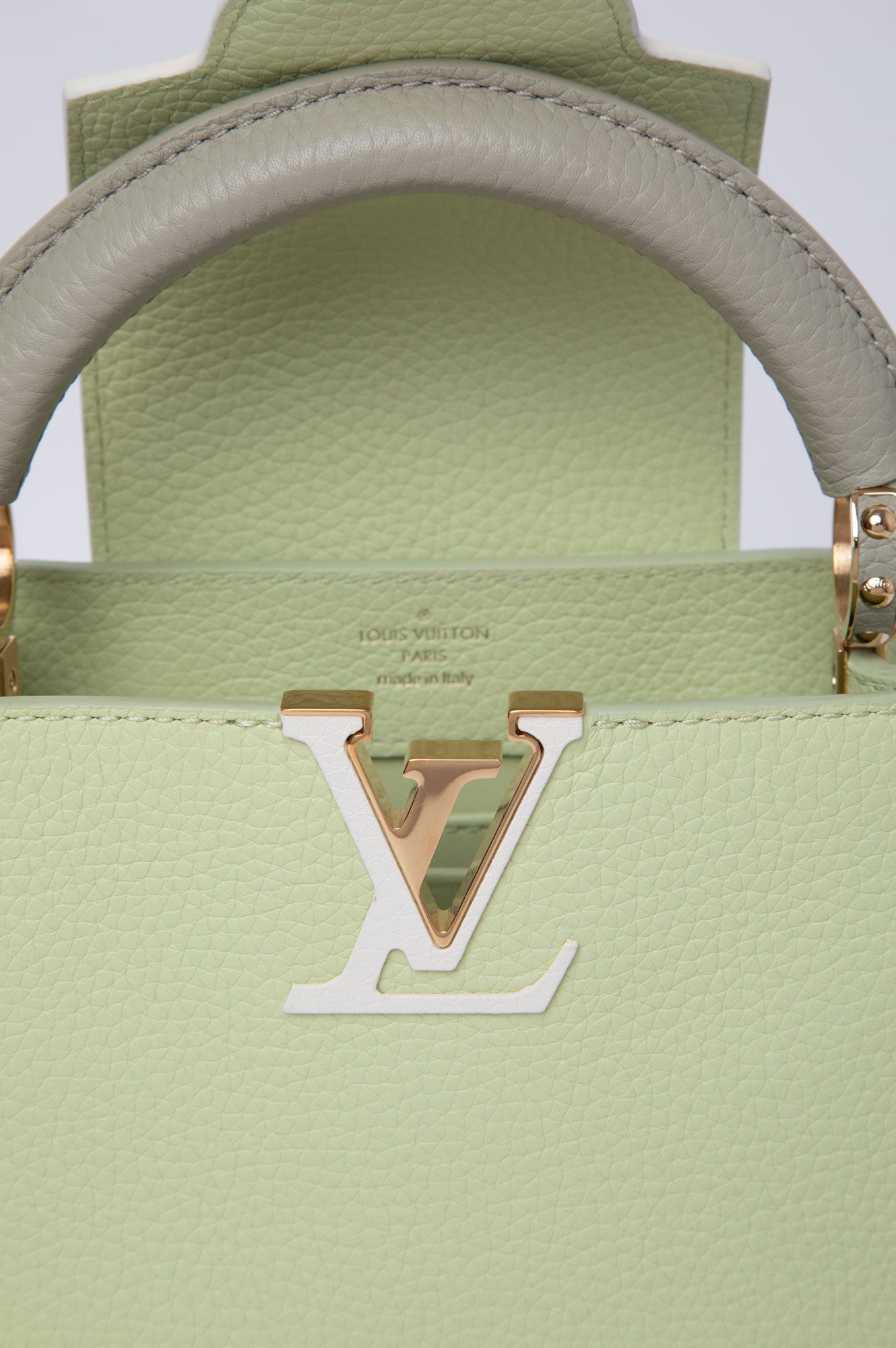 Louis Vuitton Vert Noto Green Capucines Mini Bag