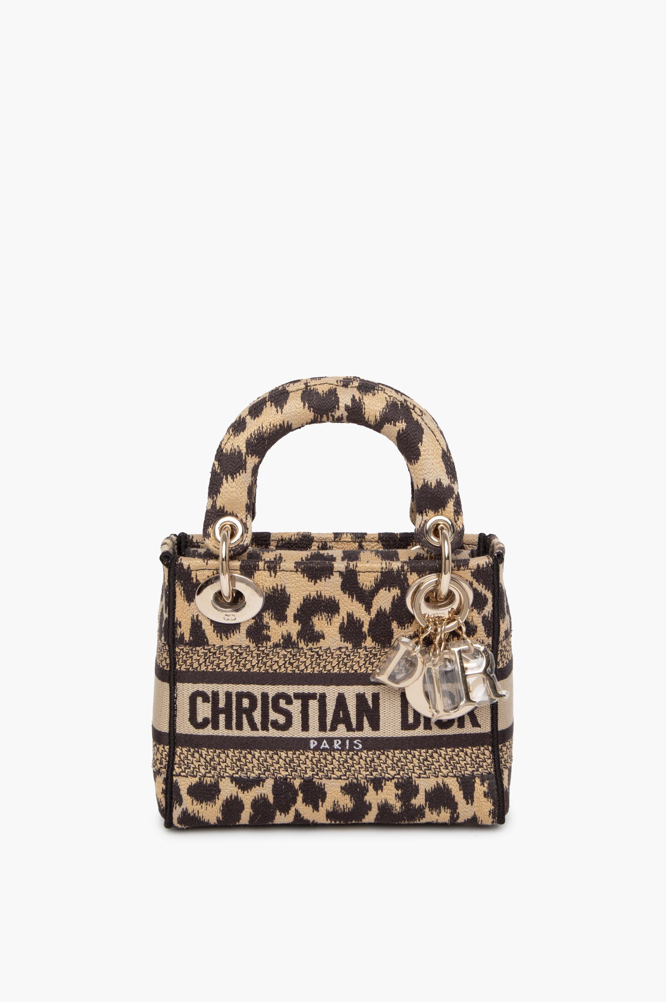 Christian Dior Mizza Embroidered Cavas Mini Lady Dior Bag