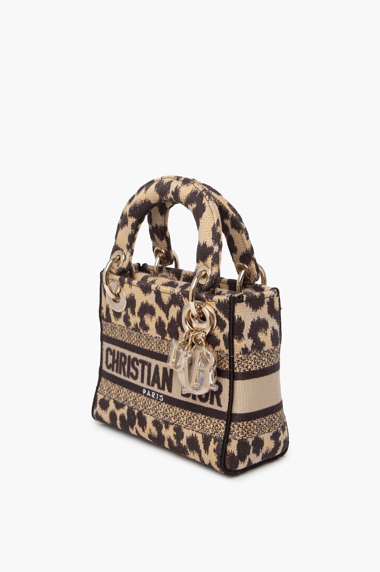 Christian Dior Mizza Embroidered Cavas Mini Lady Dior Bag