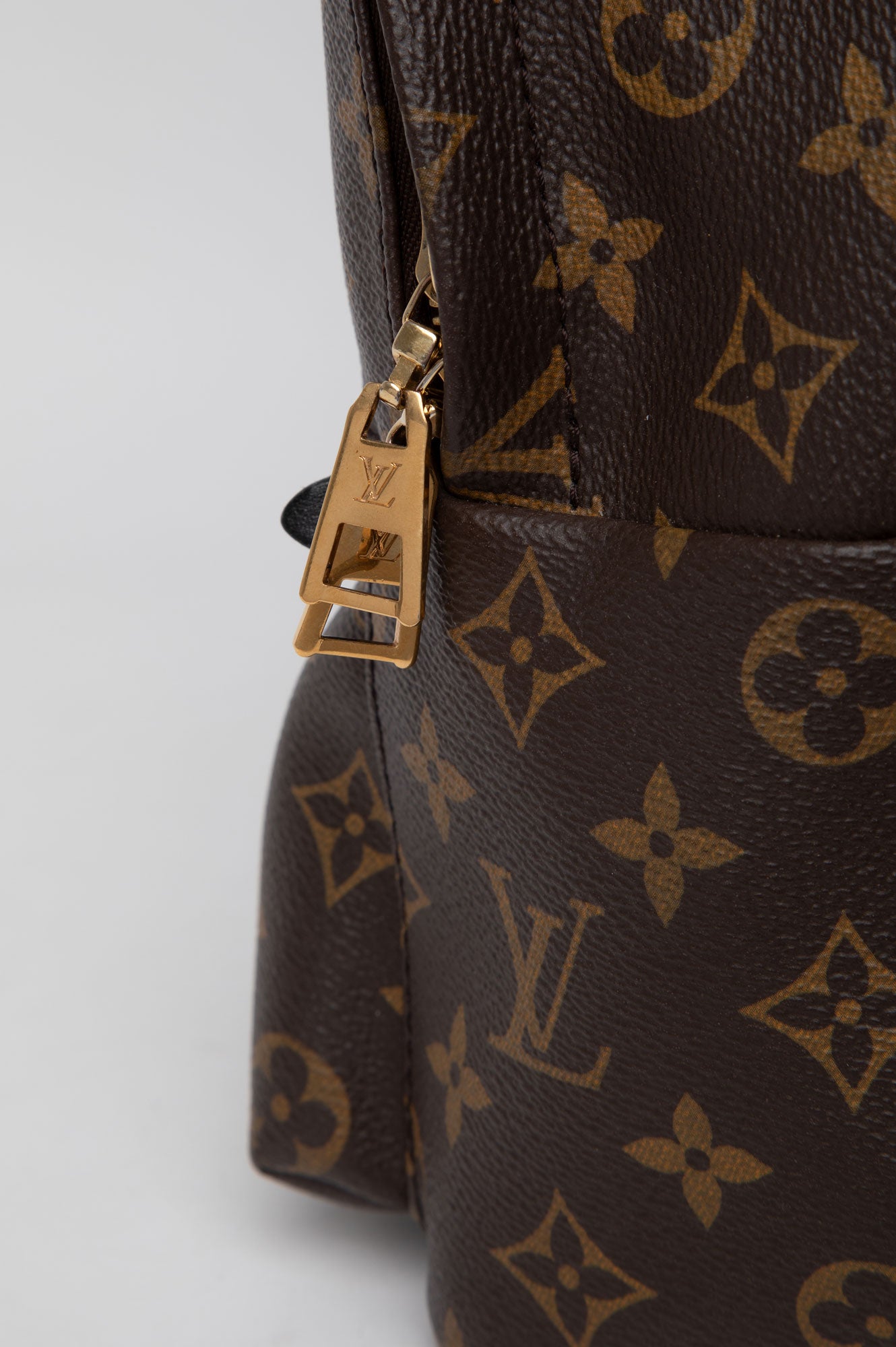 Louis Vuitton Brown Monogram Palm Spring Backpack Size PM