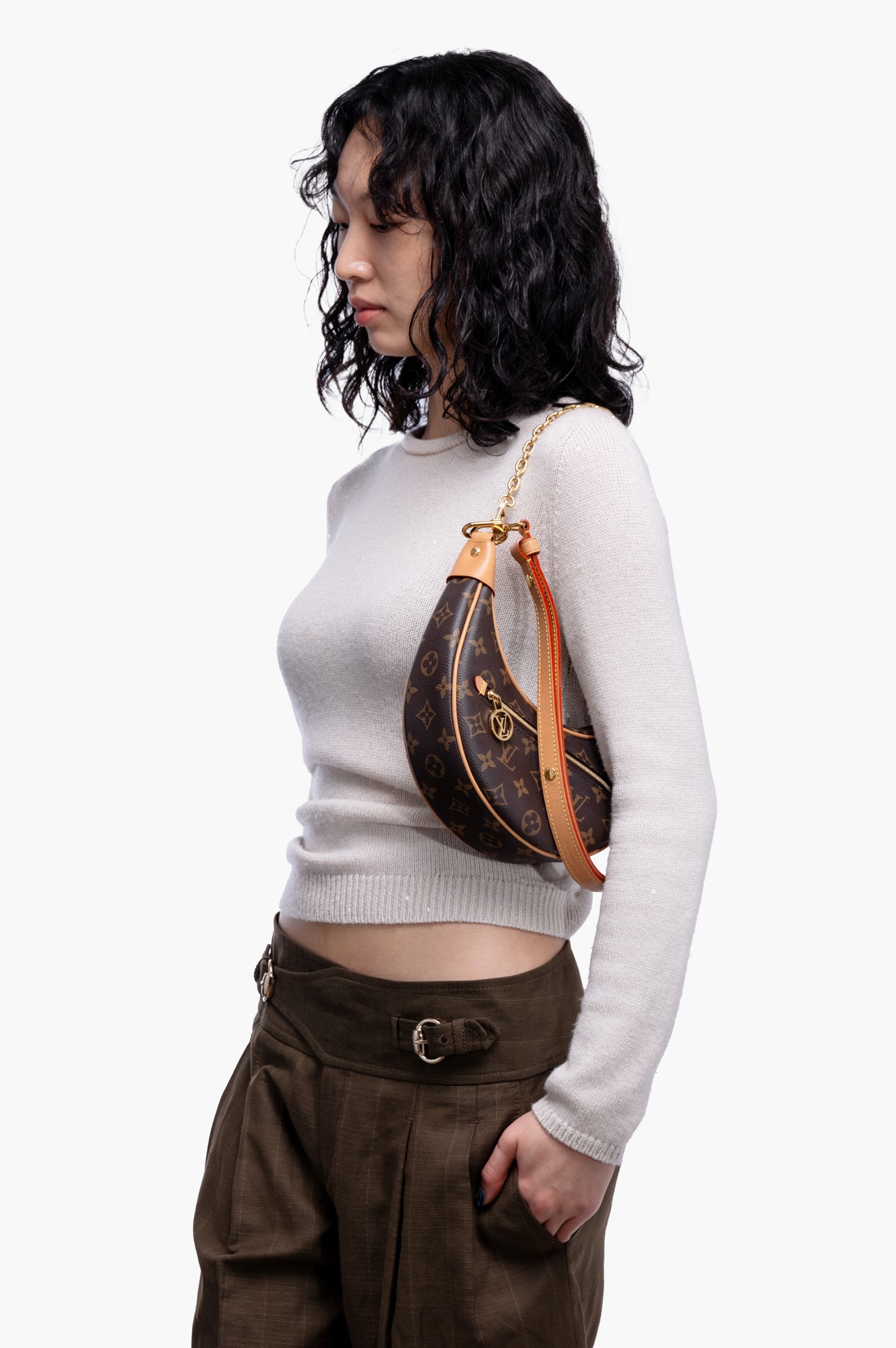 Louis Vuitton Brown Monogram Loop Hobo Bag