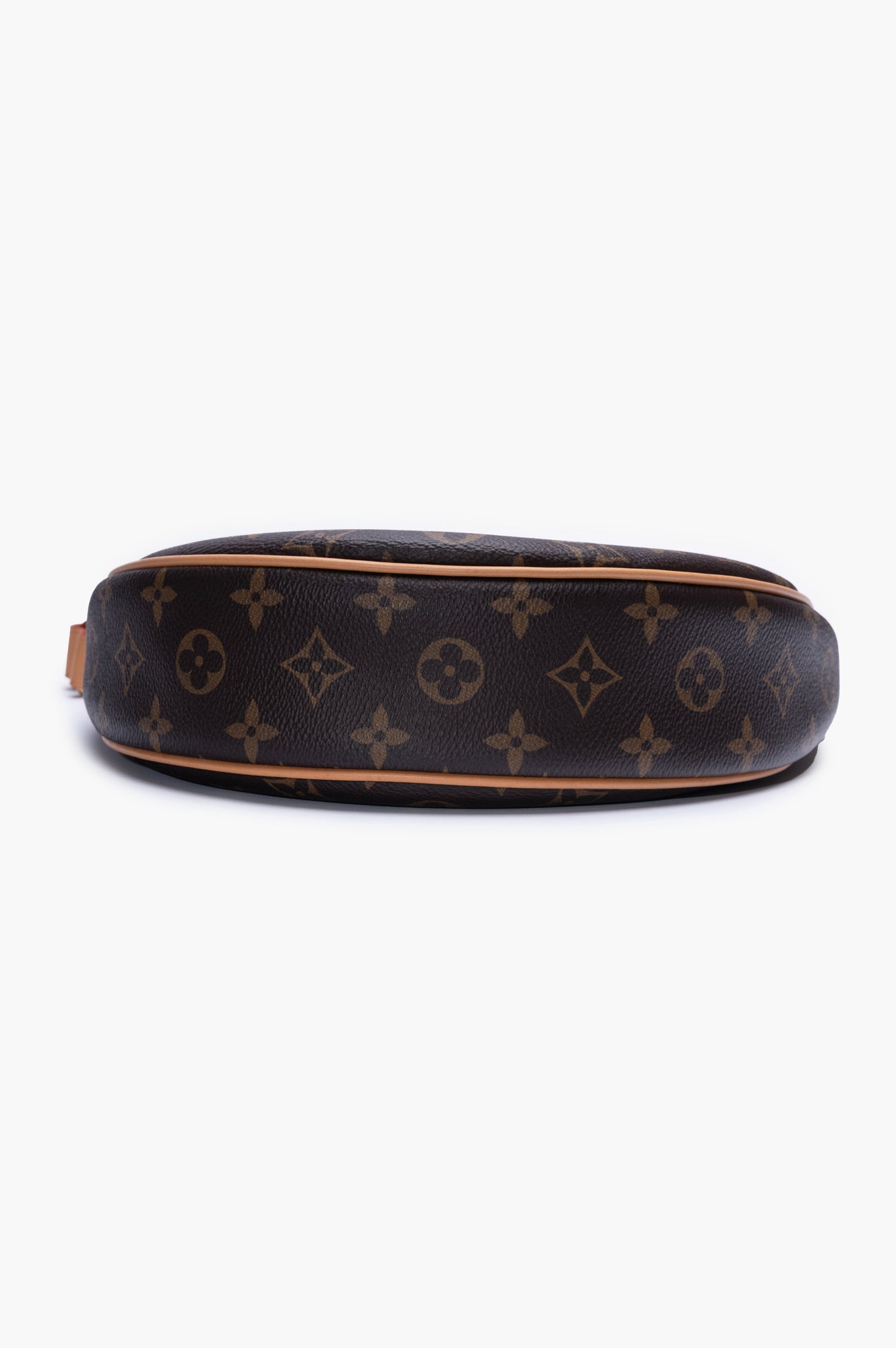 Louis Vuitton Brown Monogram Loop Hobo Bag