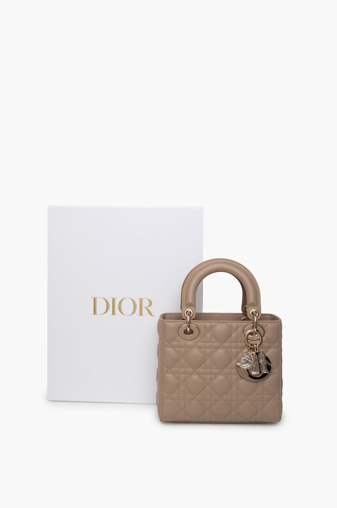 Christian Dior Hazelnut Small Lady Dior My ABCDior Bag