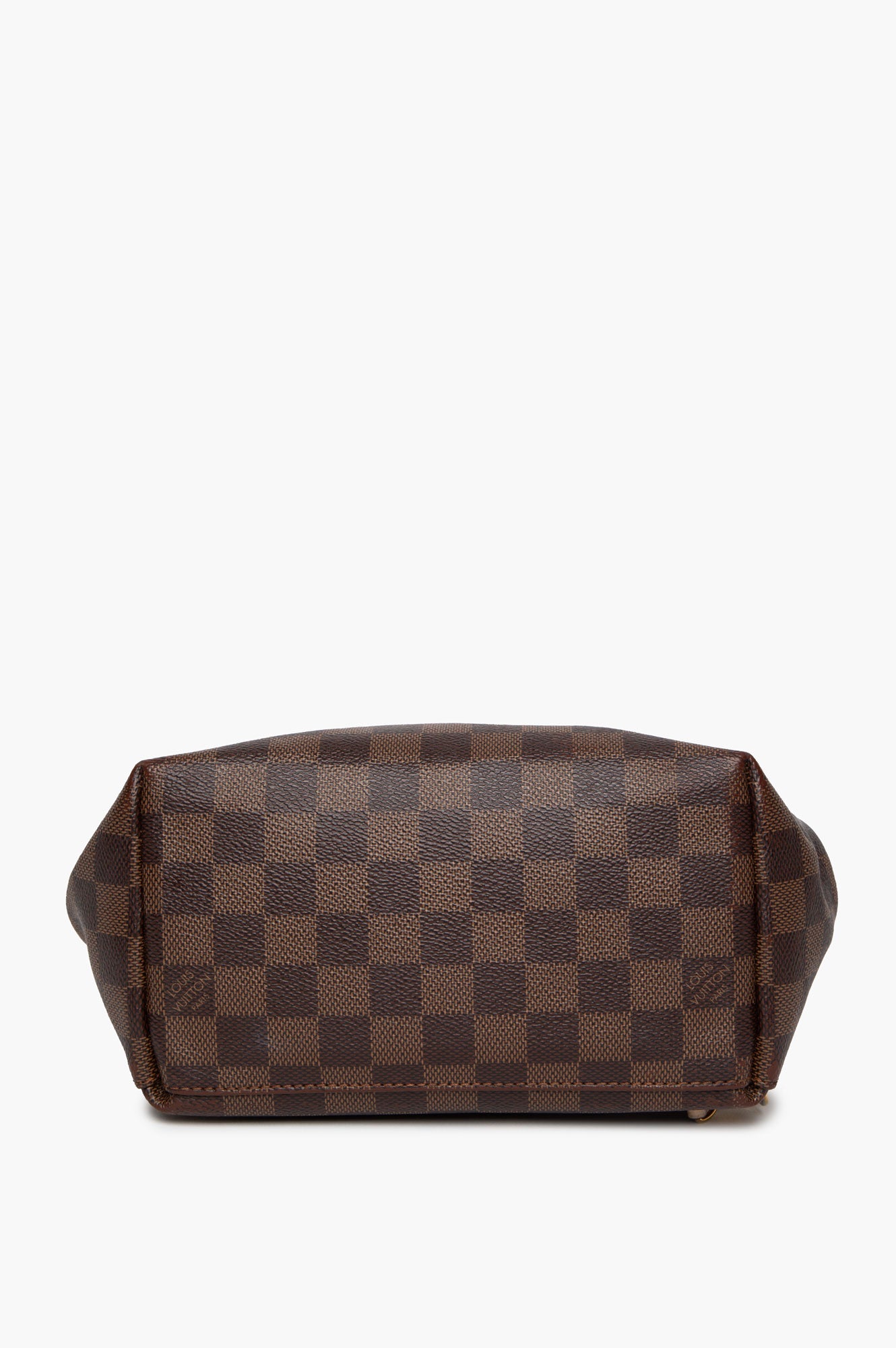 Louis Vuitton Damier Ebene Clapton Backpack