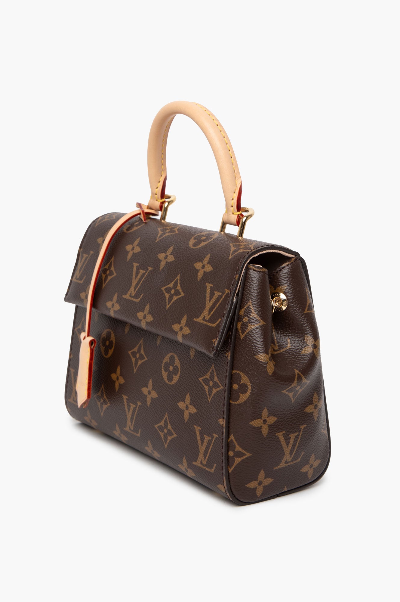 Louis Vuitton Monogram Cluny Mini