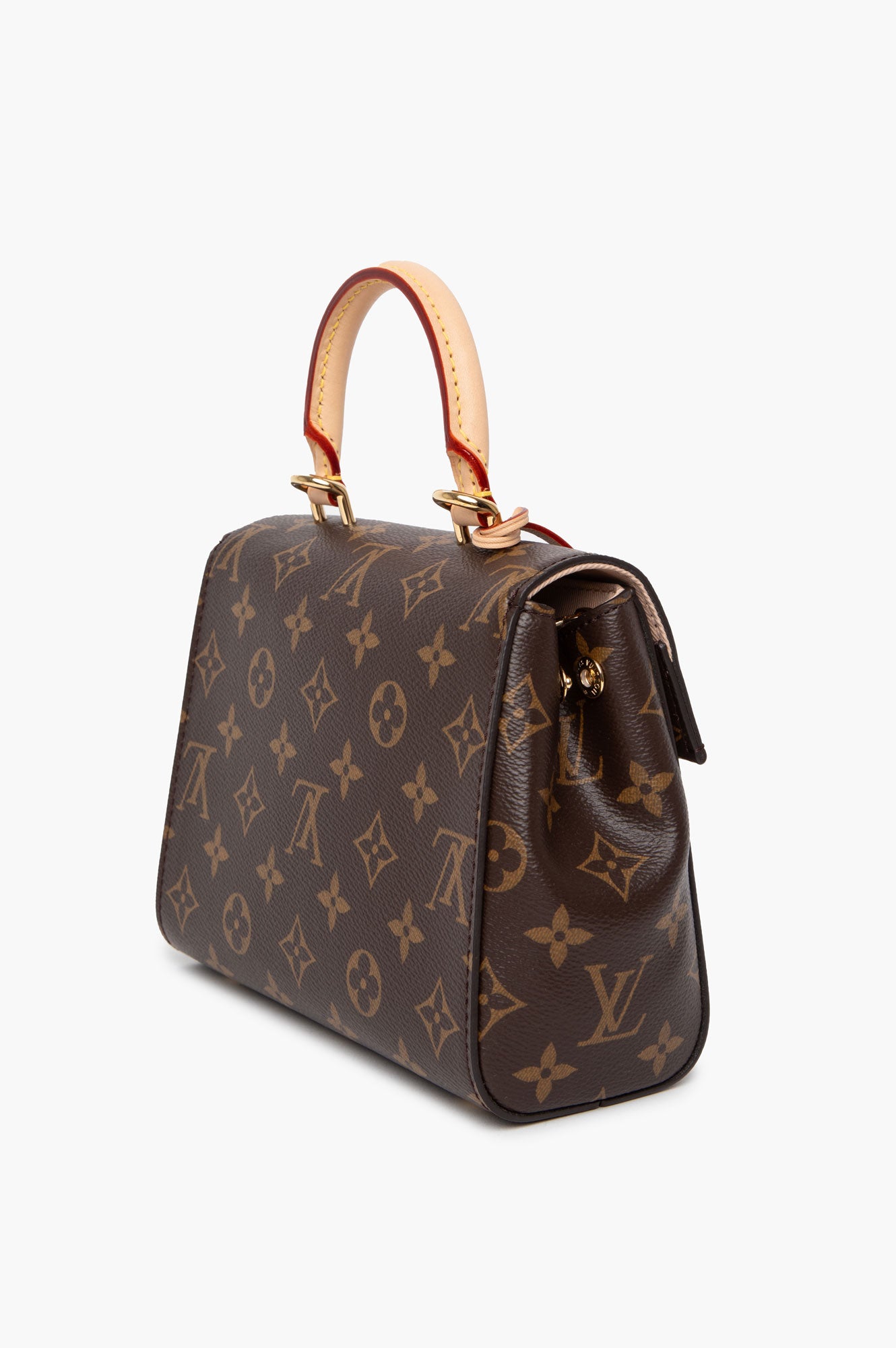Louis Vuitton Monogram Cluny Mini