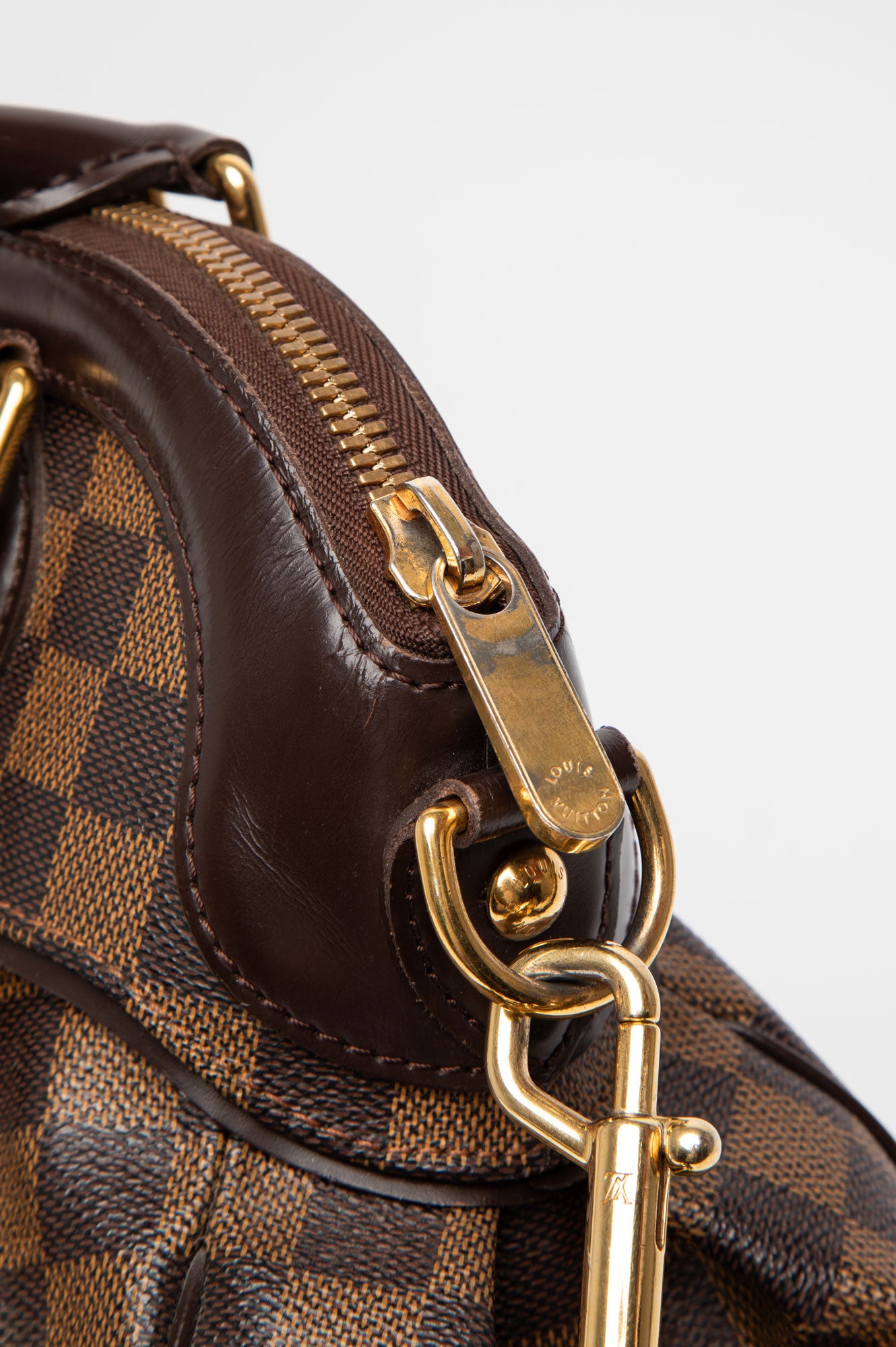 Louis Vuitton Damier Trevi PM Bag