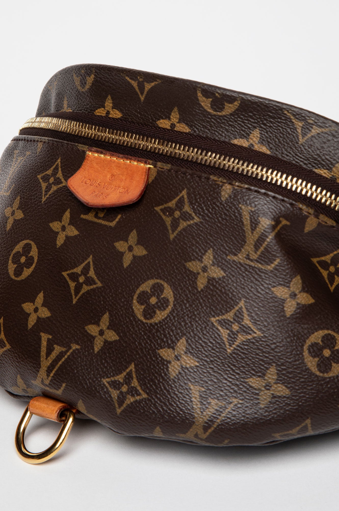 Louis Vuitton Monogram Bum Bag