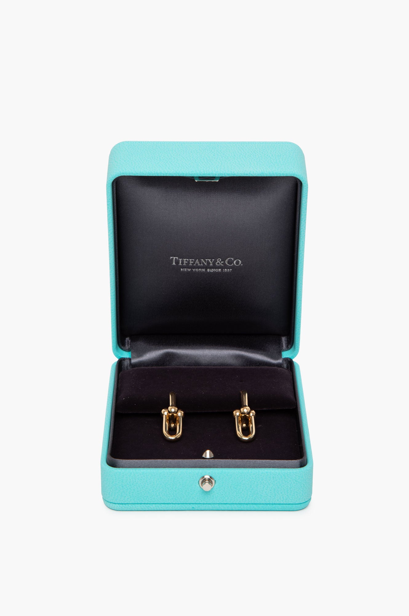 Tiffany & Co. 18k Yellow Gold Medium HardWare Link Earrings