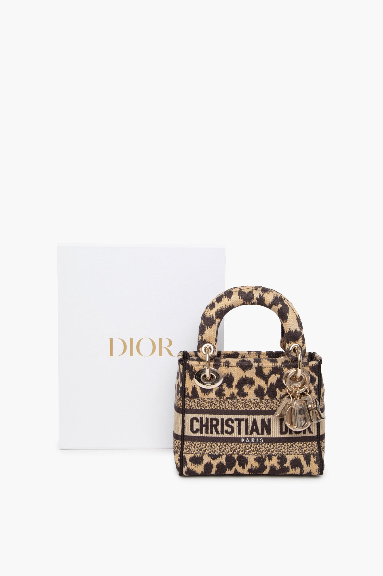 Christian Dior Mizza Embroidered Cavas Mini Lady Dior Bag