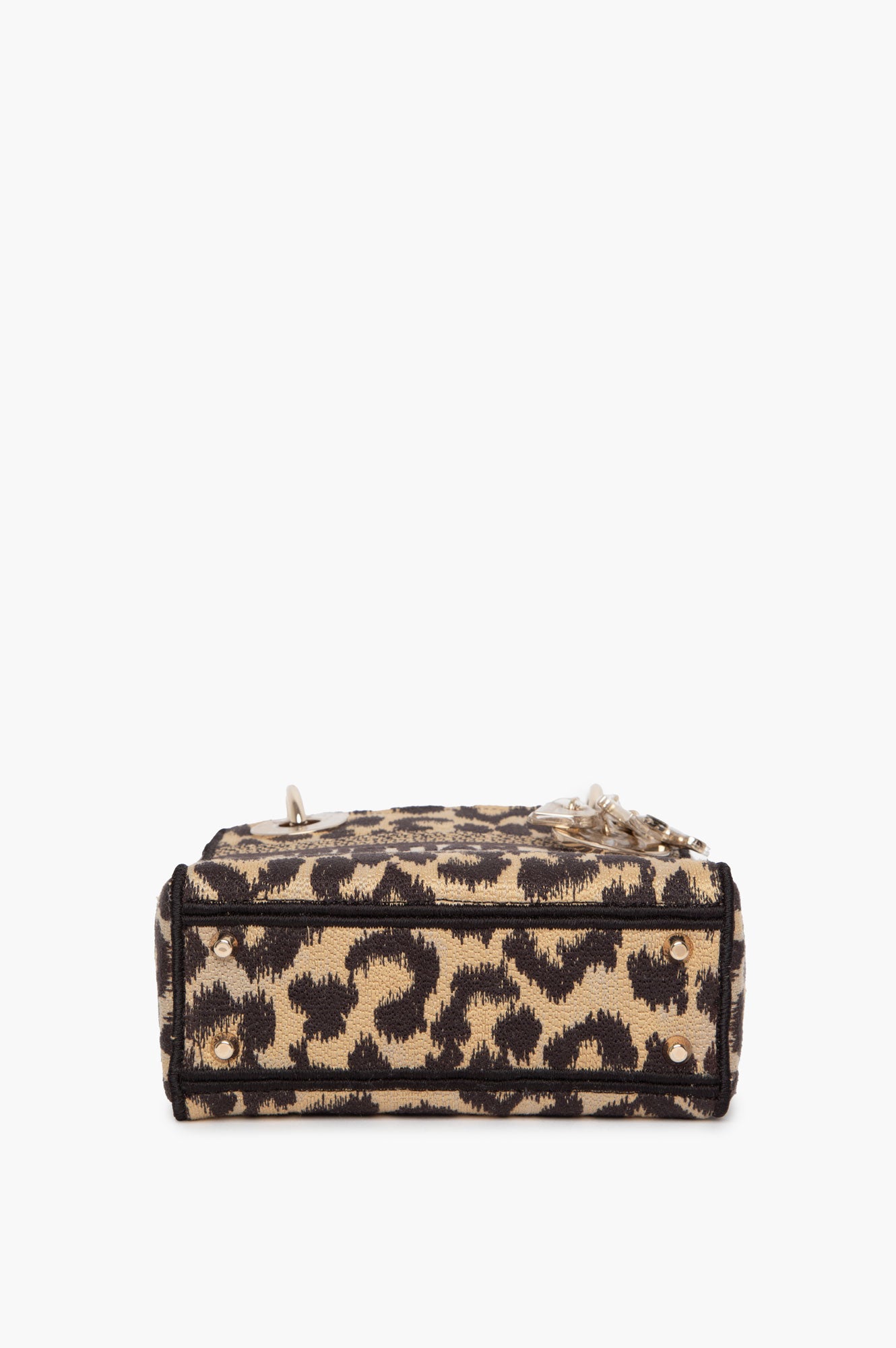 Christian Dior Mizza Embroidered Cavas Mini Lady Dior Bag