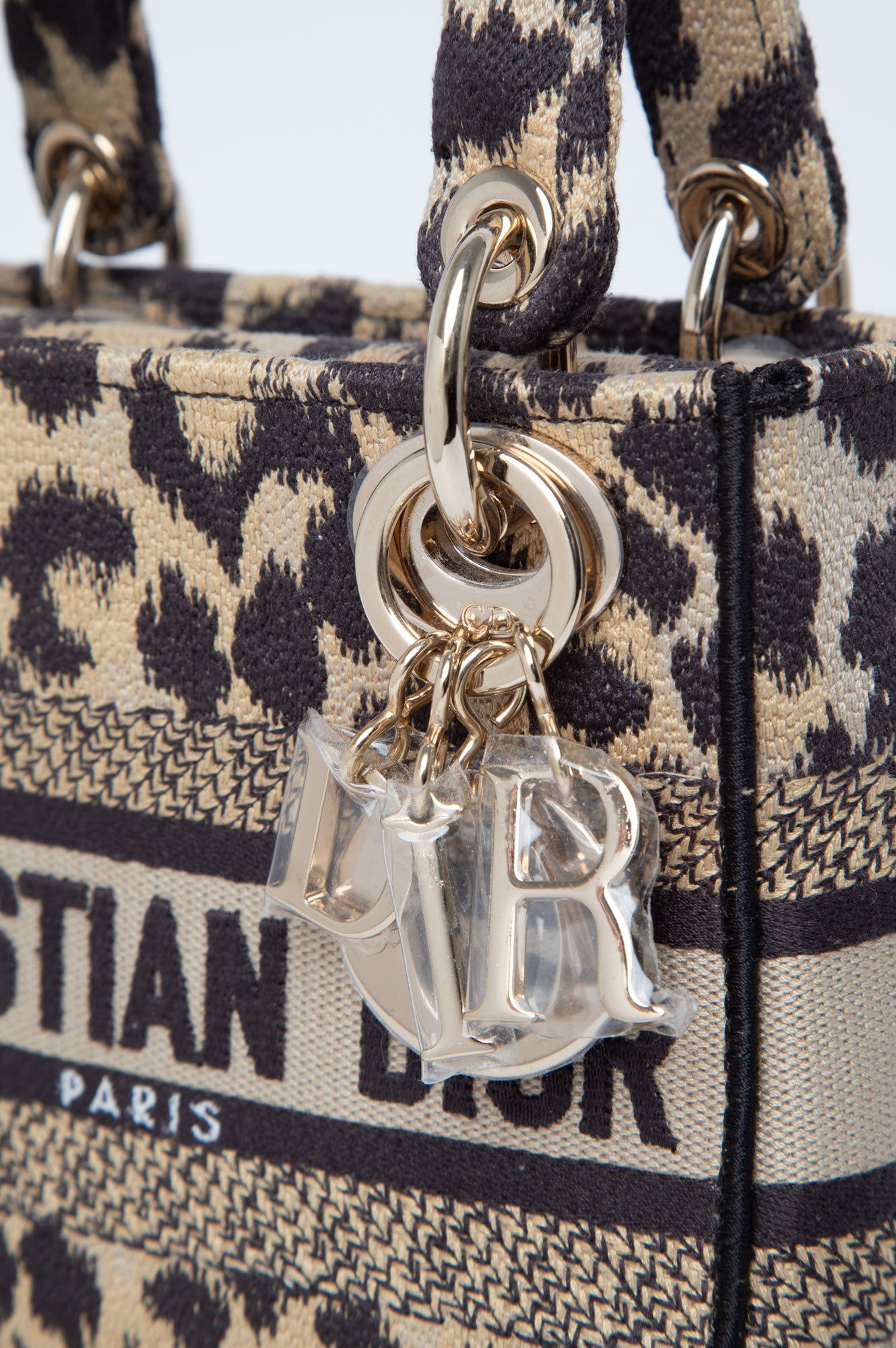 Christian Dior Mizza Embroidered Cavas Mini Lady Dior Bag