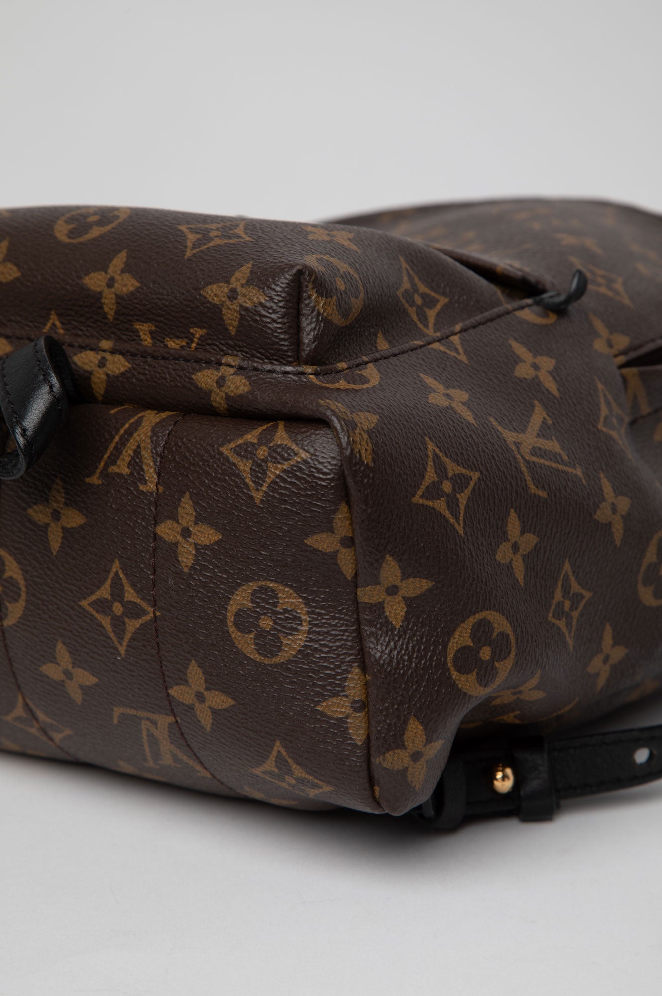 Louis Vuitton Brown Monogram Palm Spring Backpack Size PM