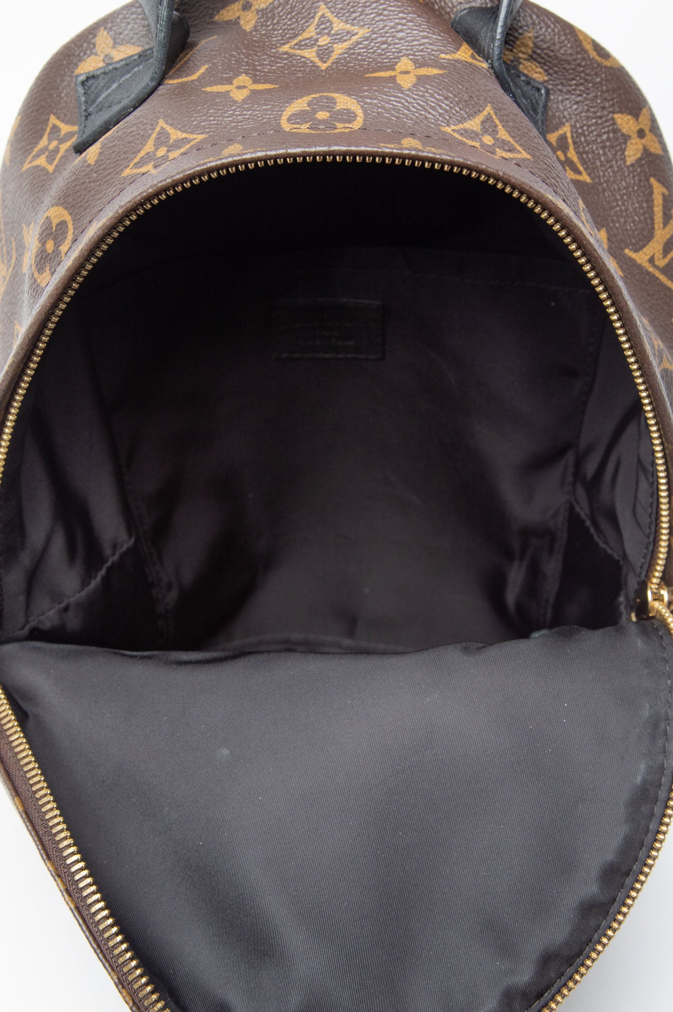 Louis Vuitton Brown Monogram Palm Spring Backpack Size PM