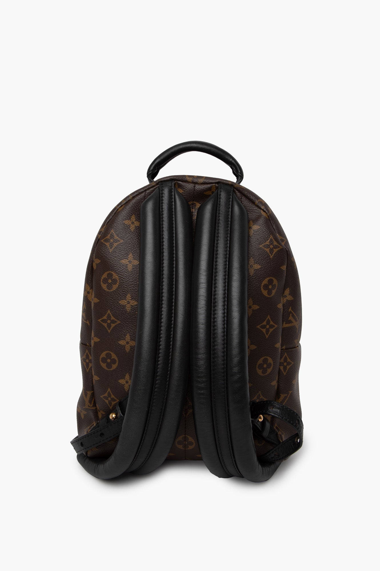 Louis Vuitton Brown Monogram Palm Spring Backpack Size PM