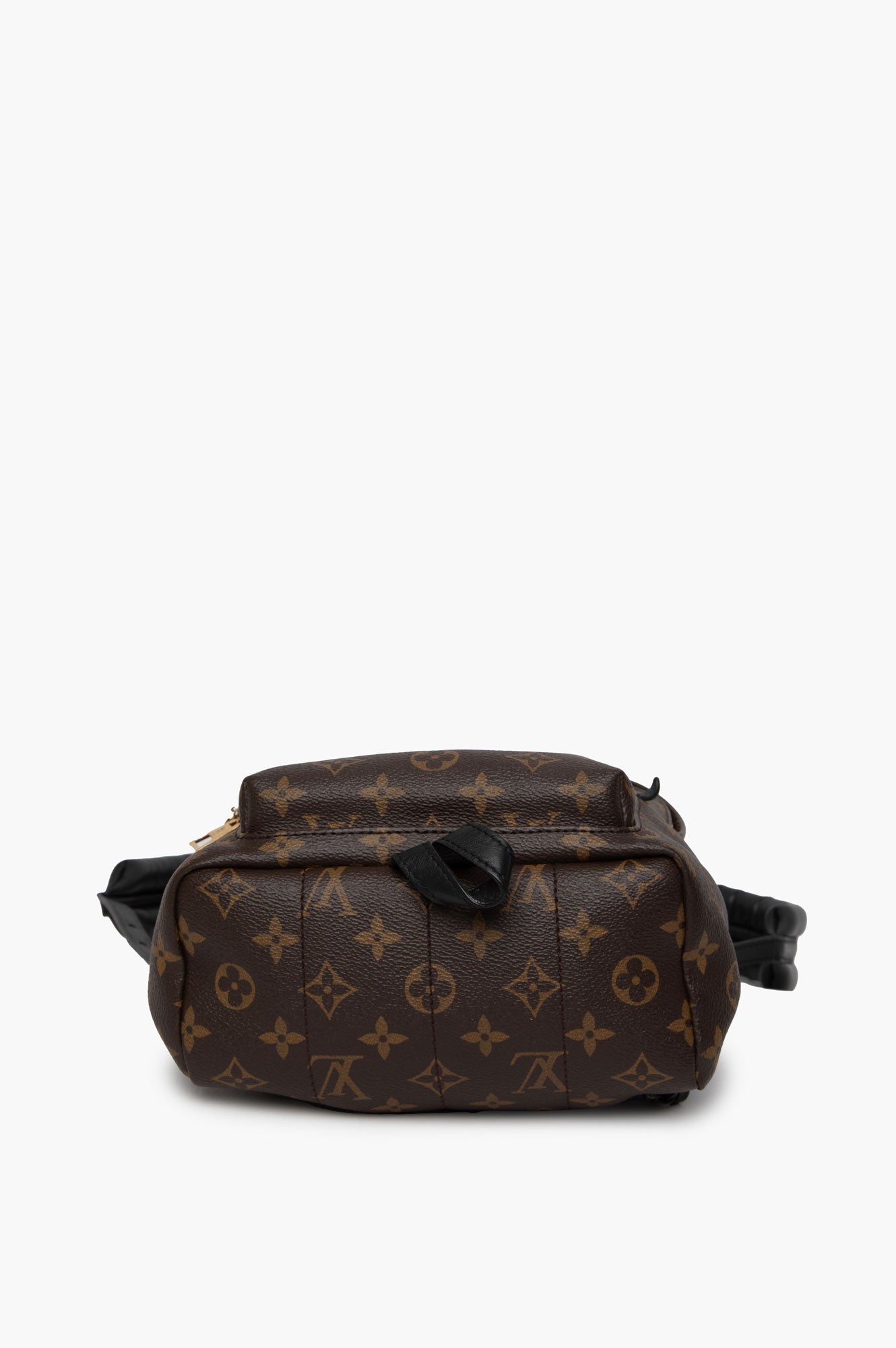 Louis Vuitton Brown Monogram Palm Spring Backpack Size PM