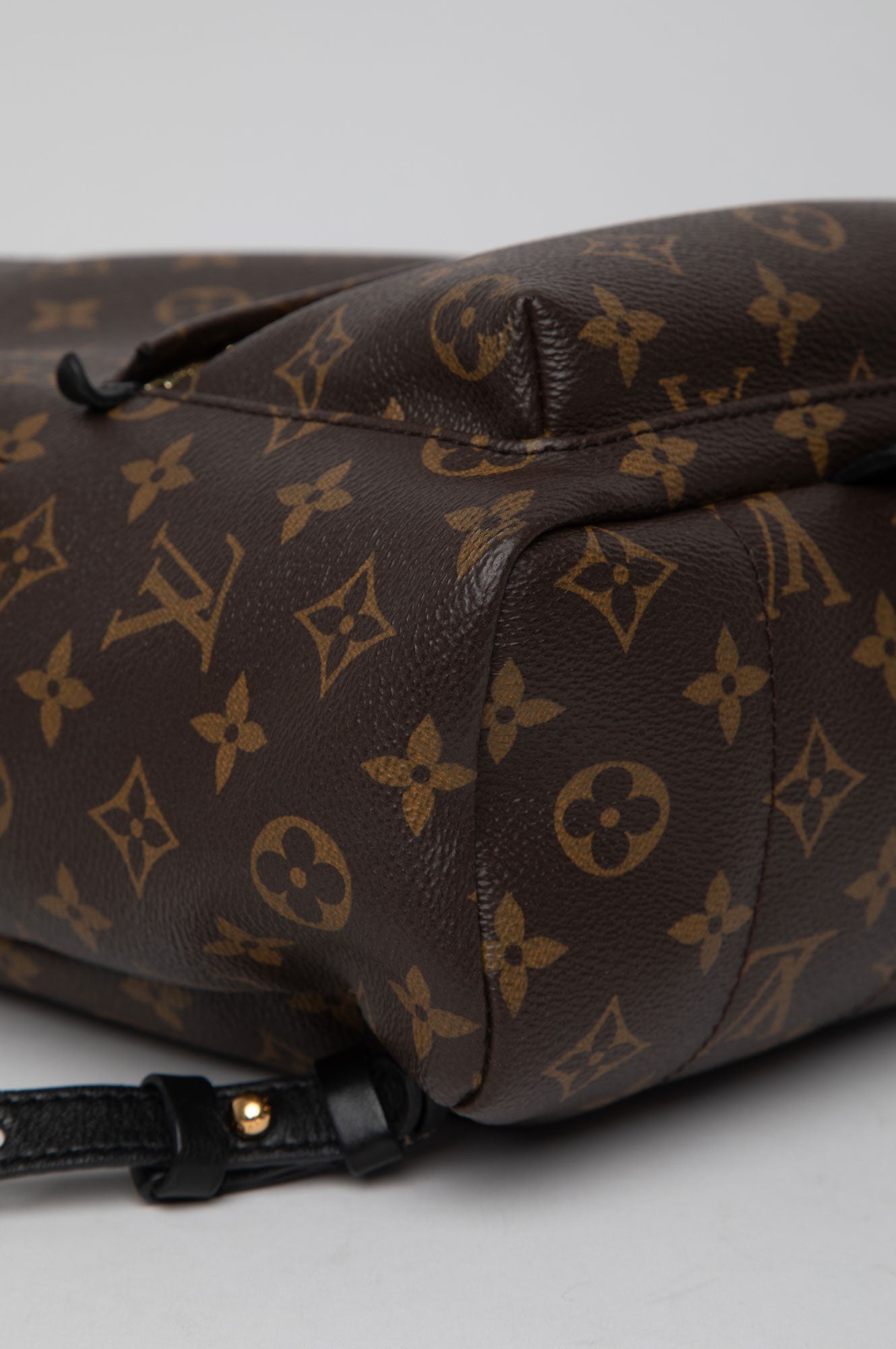 Louis Vuitton Brown Monogram Palm Spring Backpack Size PM
